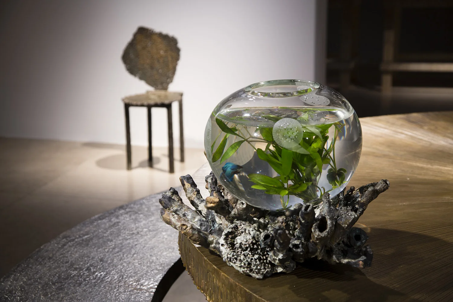 9. MOD 2015 Installation.jpg