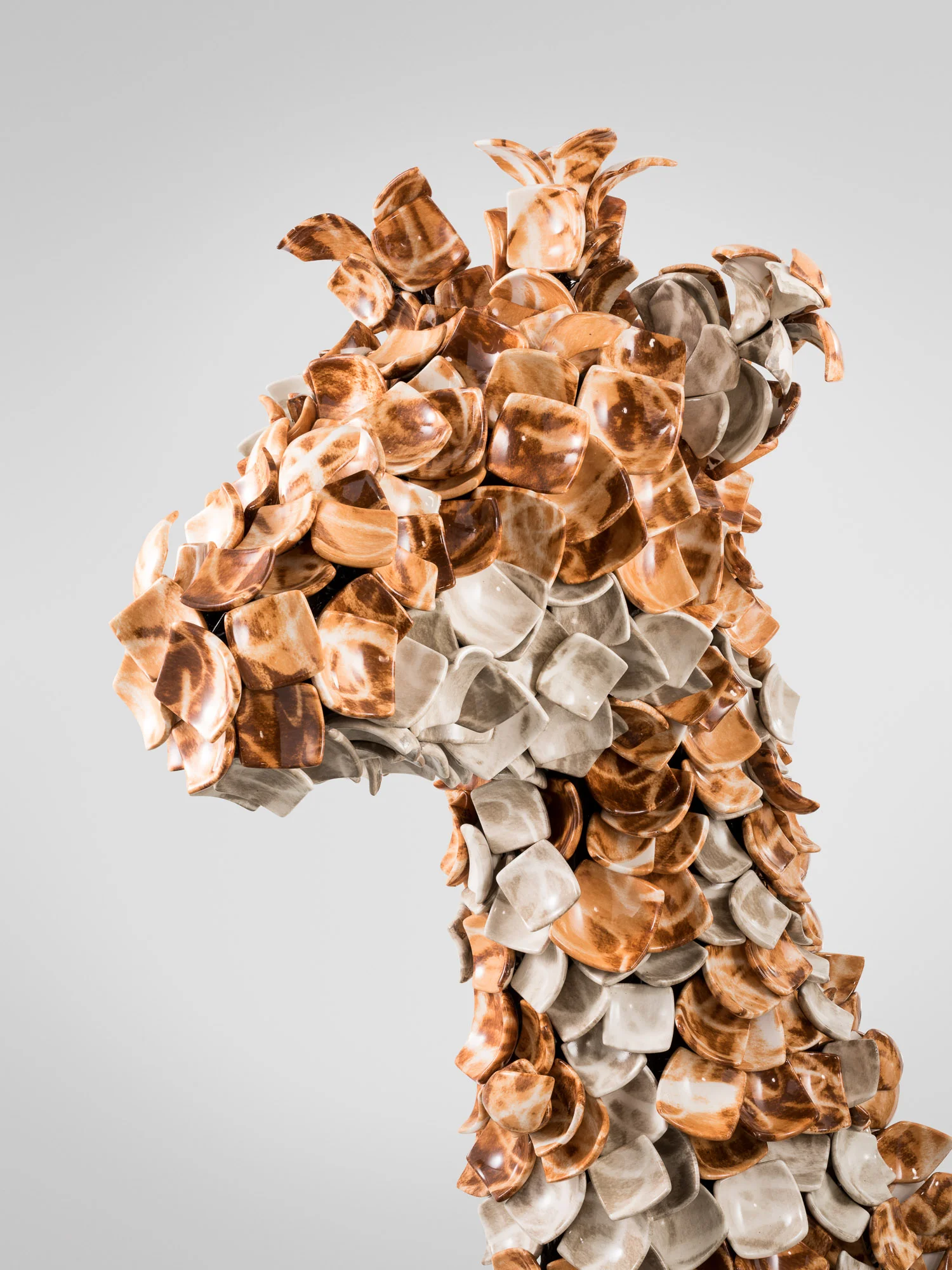 BB Trophy Head 'Giraffe' (Detail).jpg