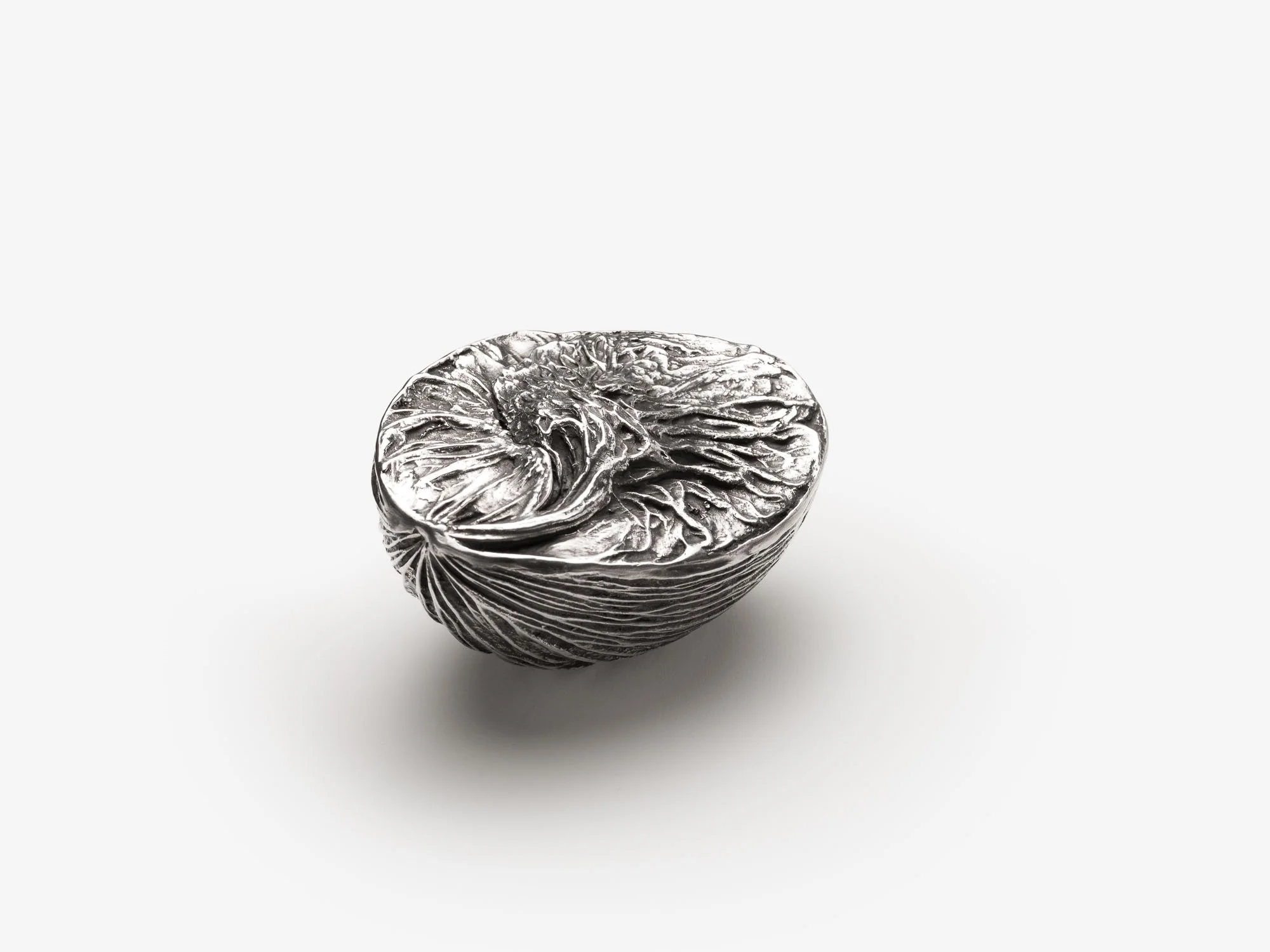 Michele Oka Doner Sculpture 'Germinating'