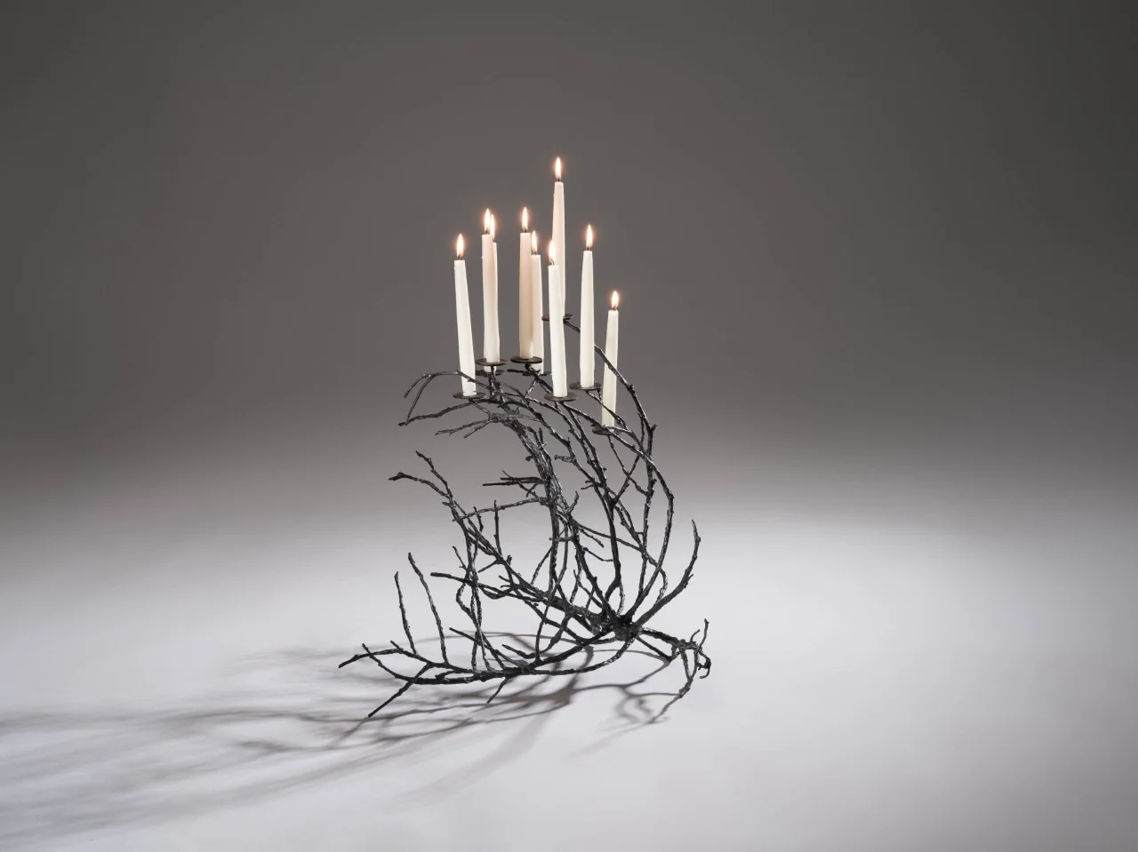 'Burning Bush 39' 2018