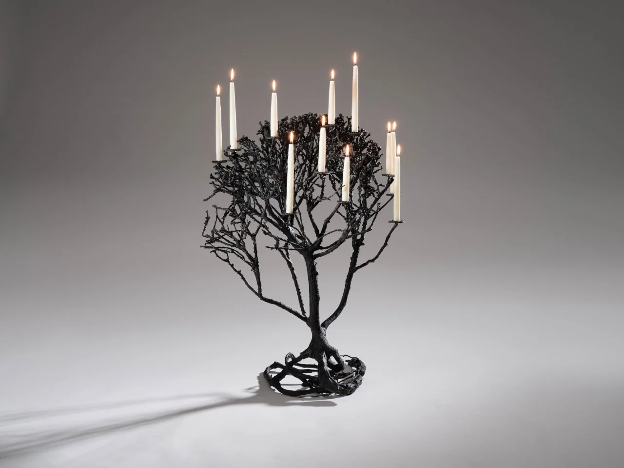 'Orb (Burning Bush 46)' 2018