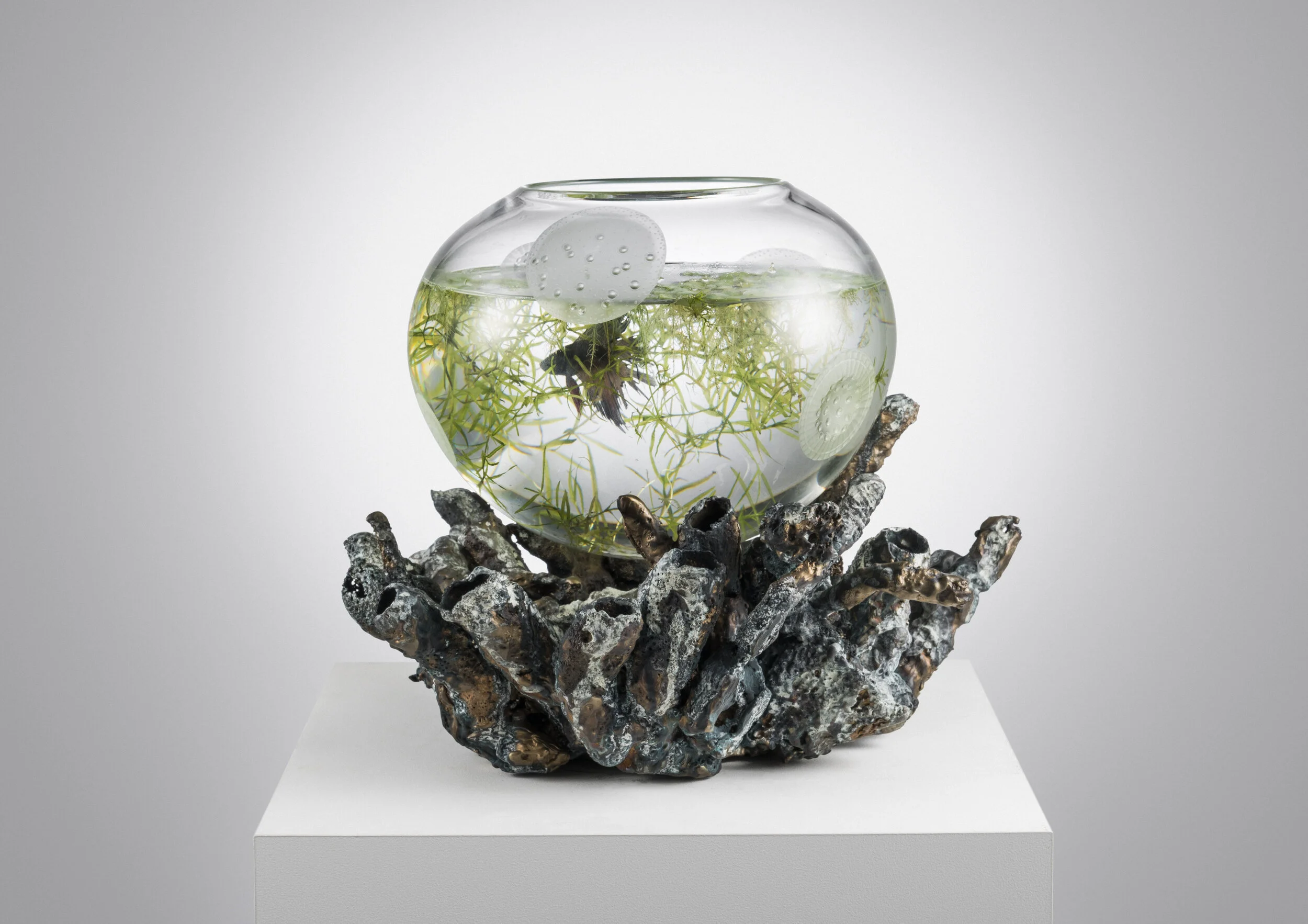 MOD Bowl 'Ocean Reef'.jpg