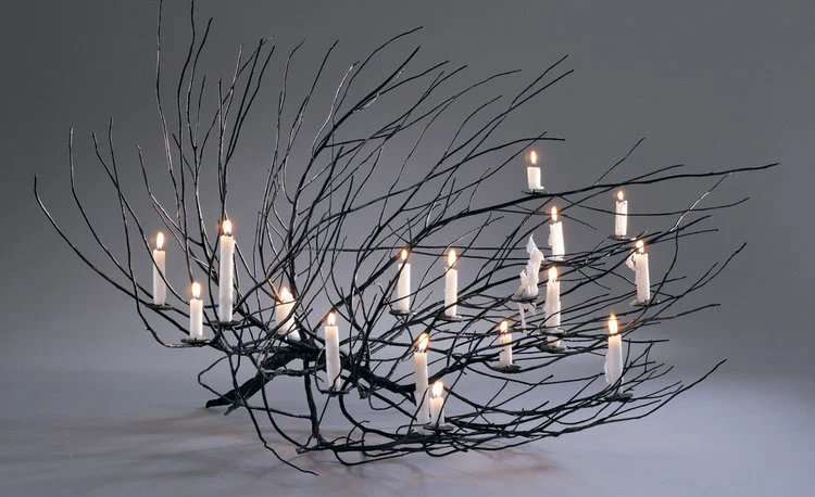 'Burning Bush', 1995