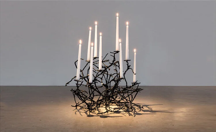 'Burning Bush 41', 2013