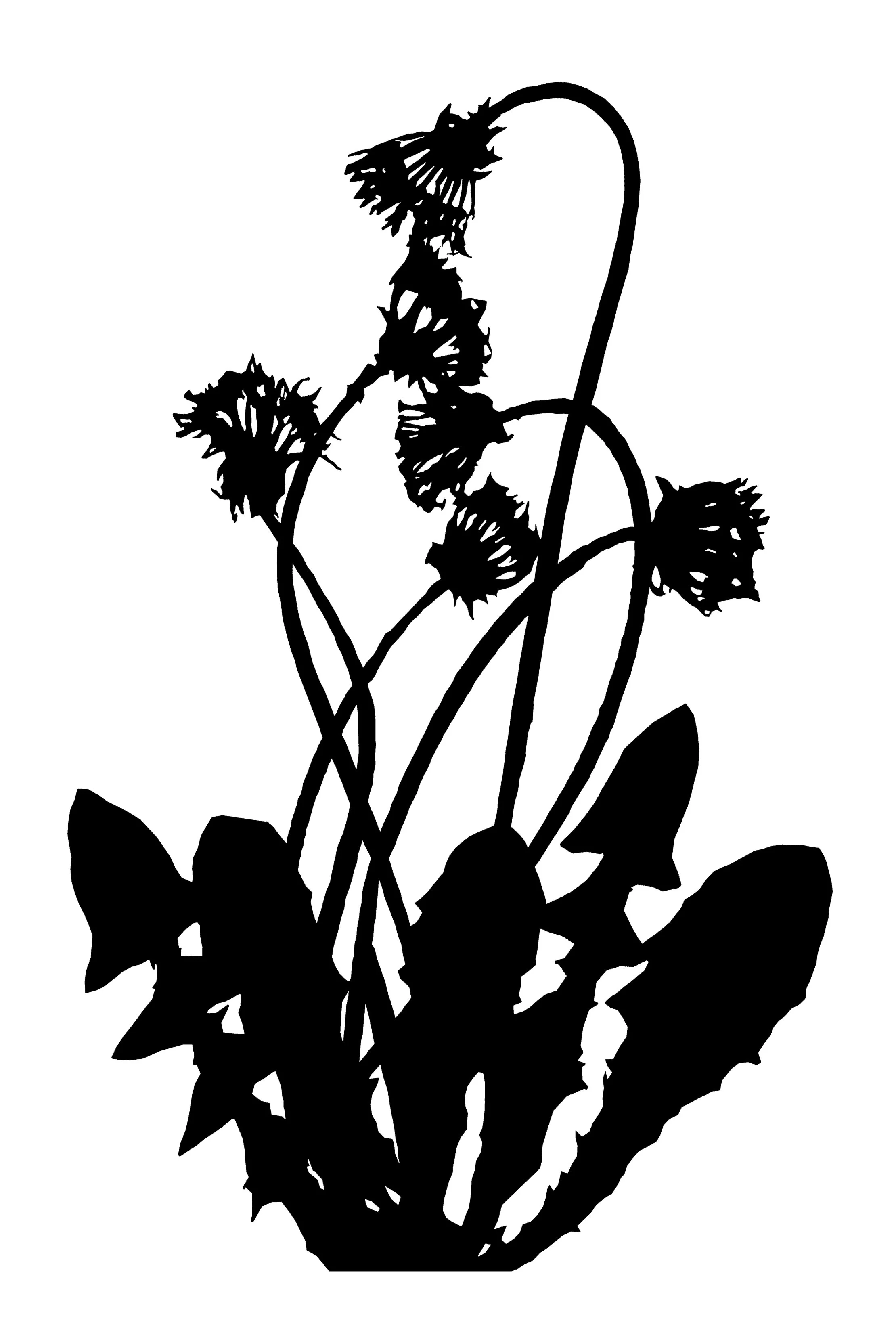1. PM20-03 'Mystacidium', 2021,.jpg