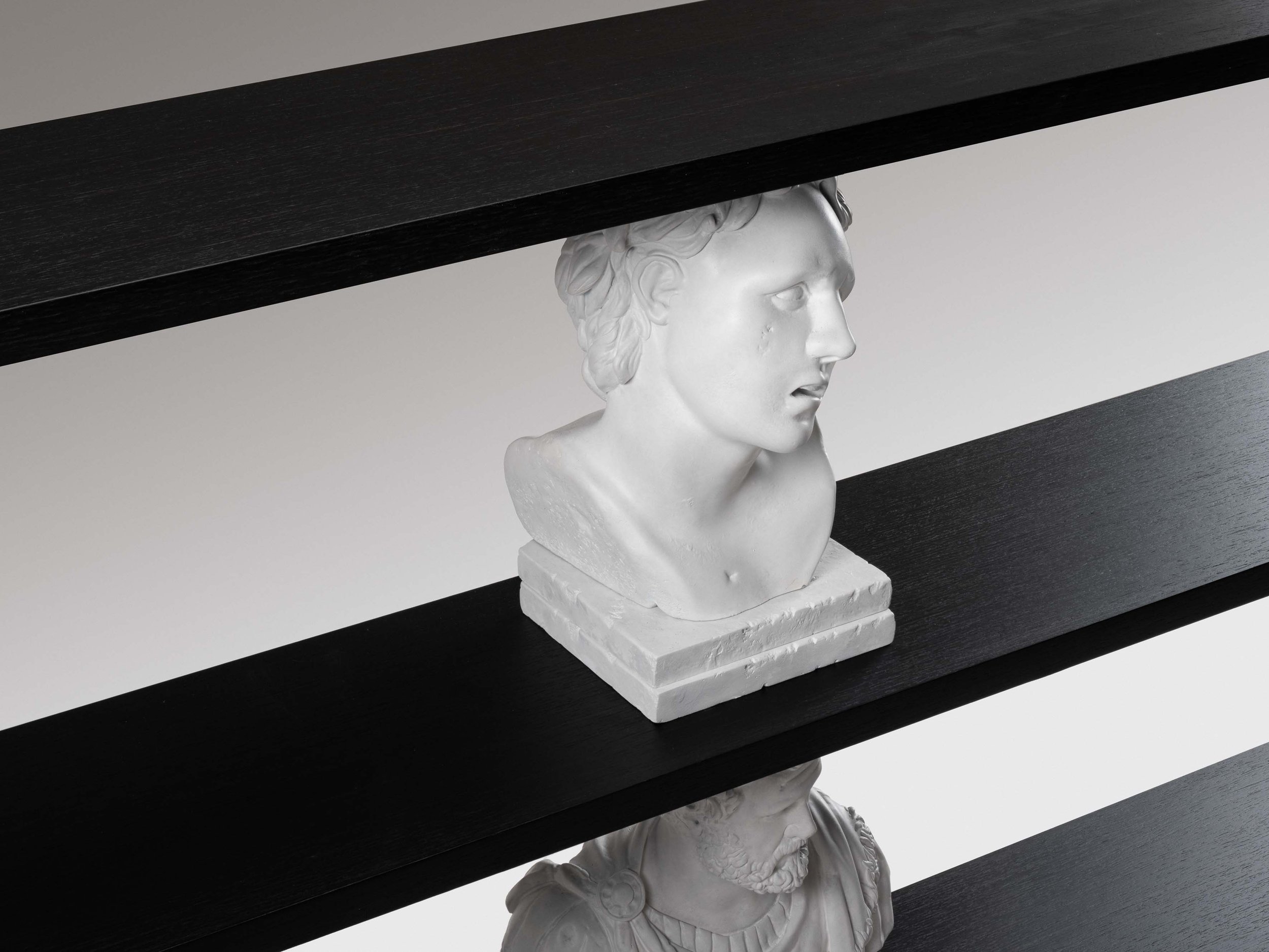 7. SE Shelves 'Bust' (detail).jpg