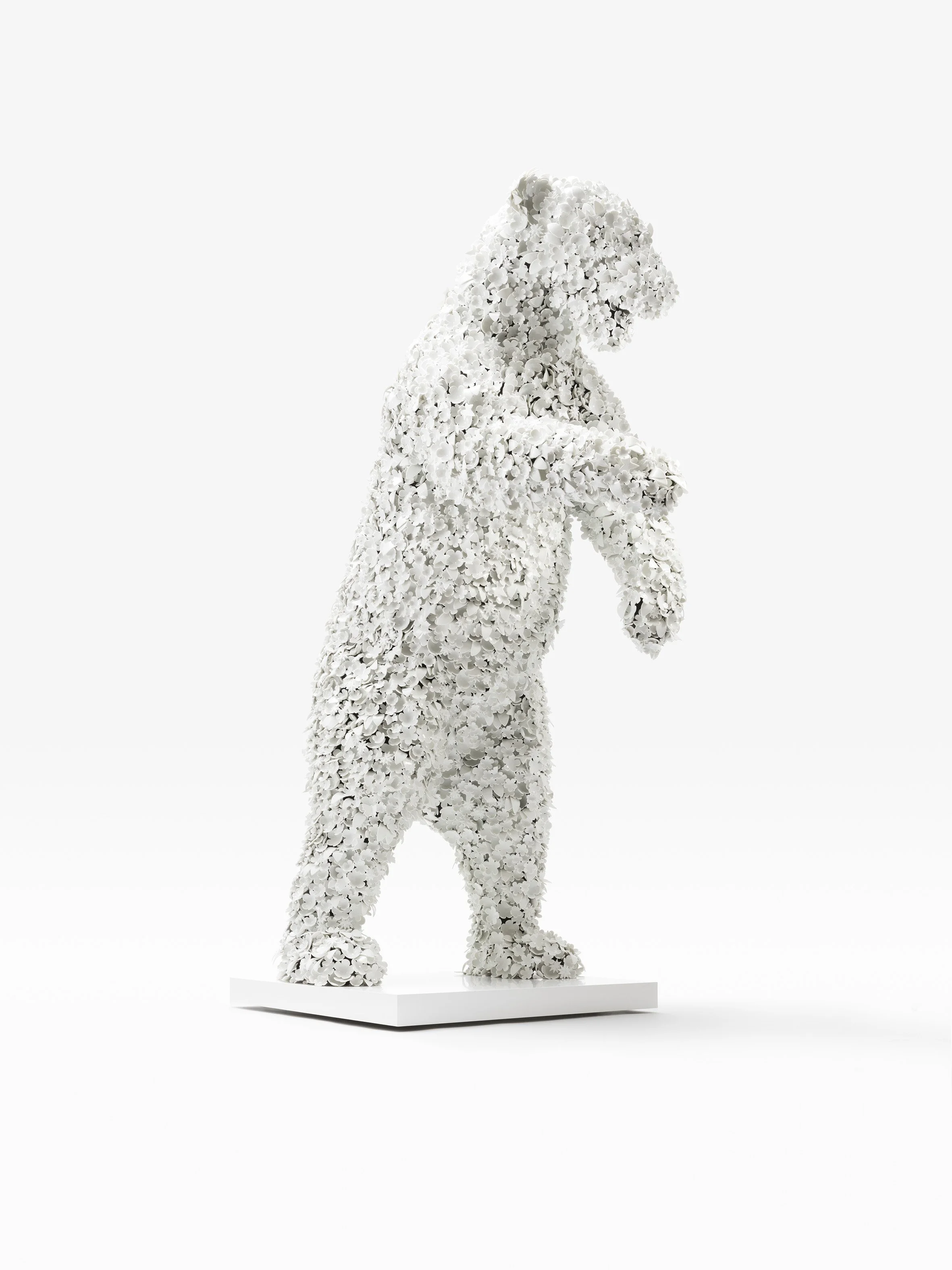 THE POLAR BEAR