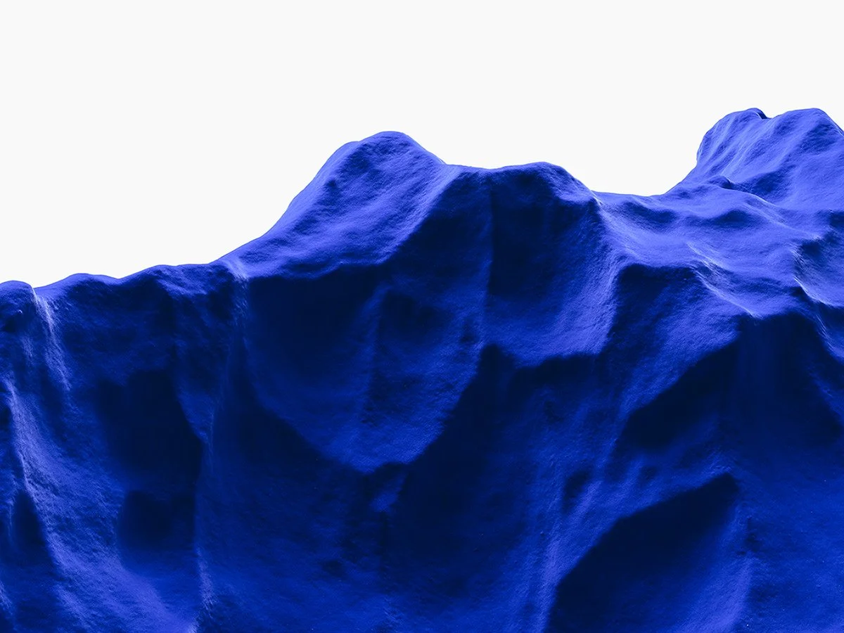 5. FS15-16 Armchair 'Species II'.jpg