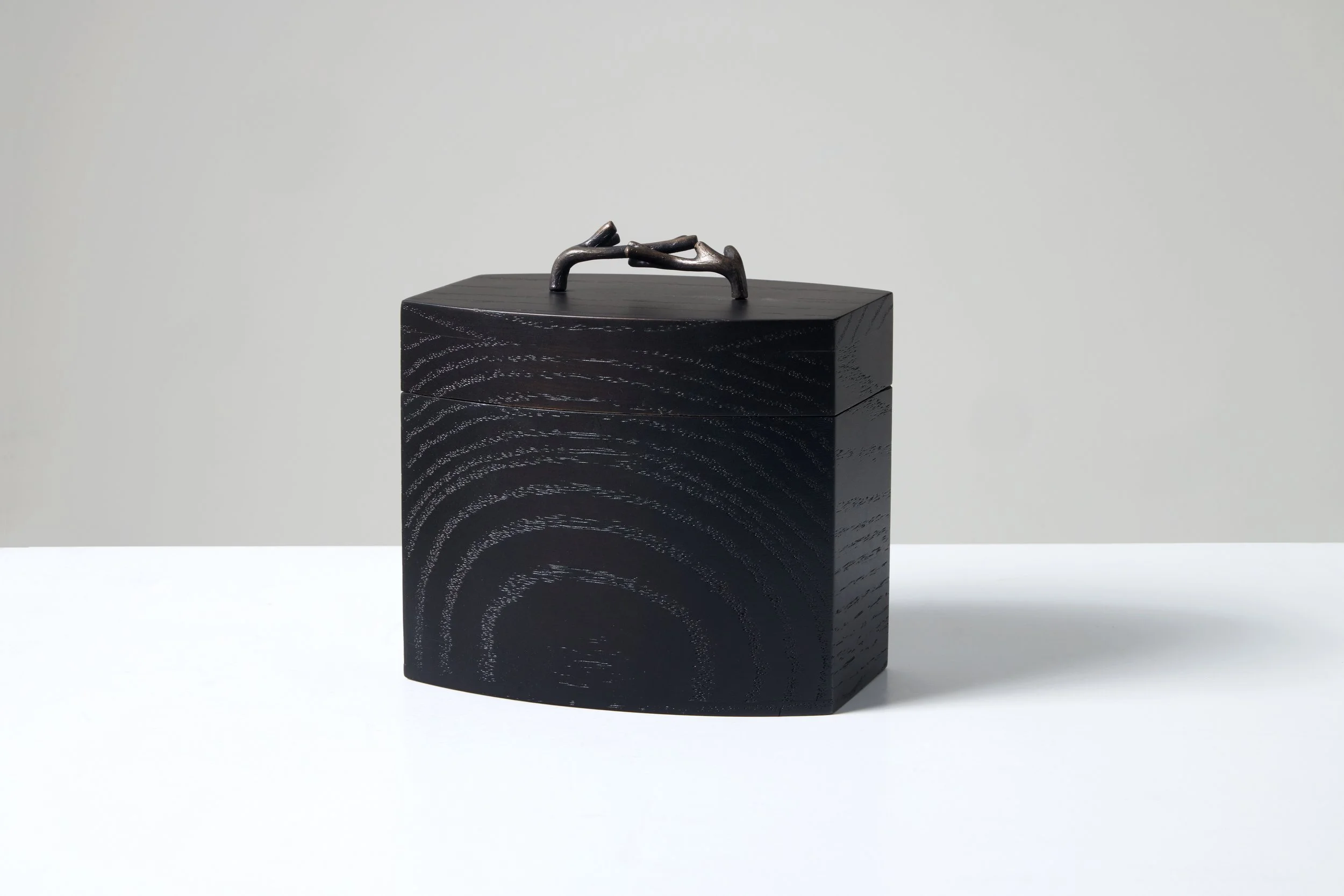 1. FJS Box 'Dina'.jpg