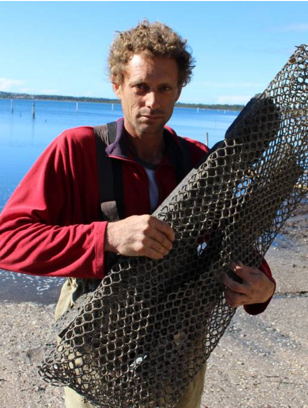 Oyster thieves strike Merimbula farmers