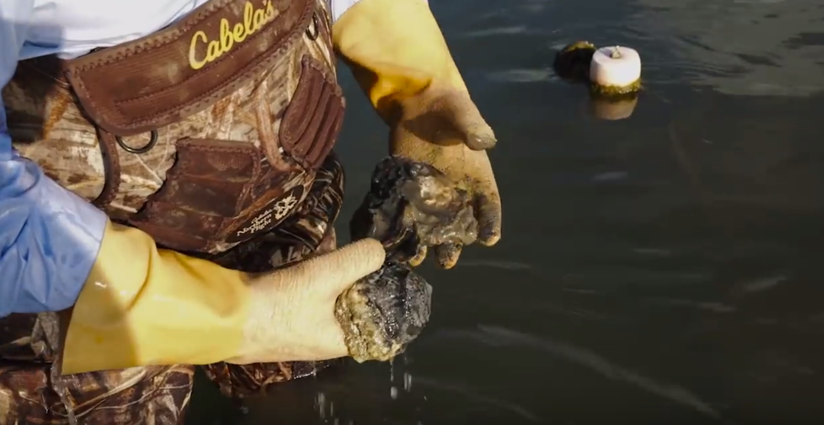 This is what Bernie Herman is doing to address climate change, what are you doing?