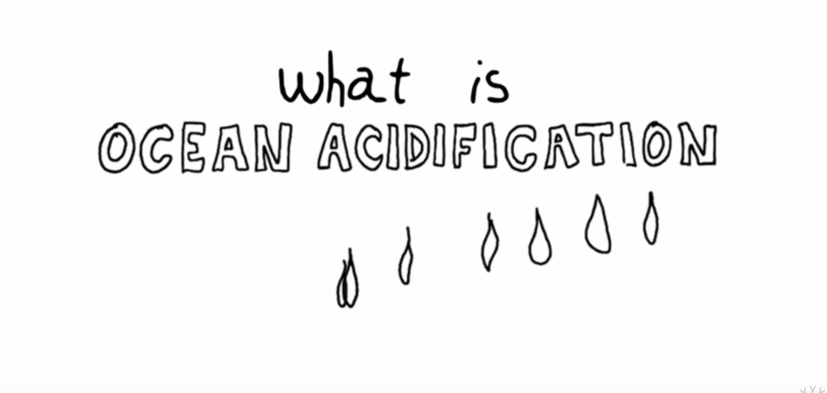 Ever not understand ocean acidification?