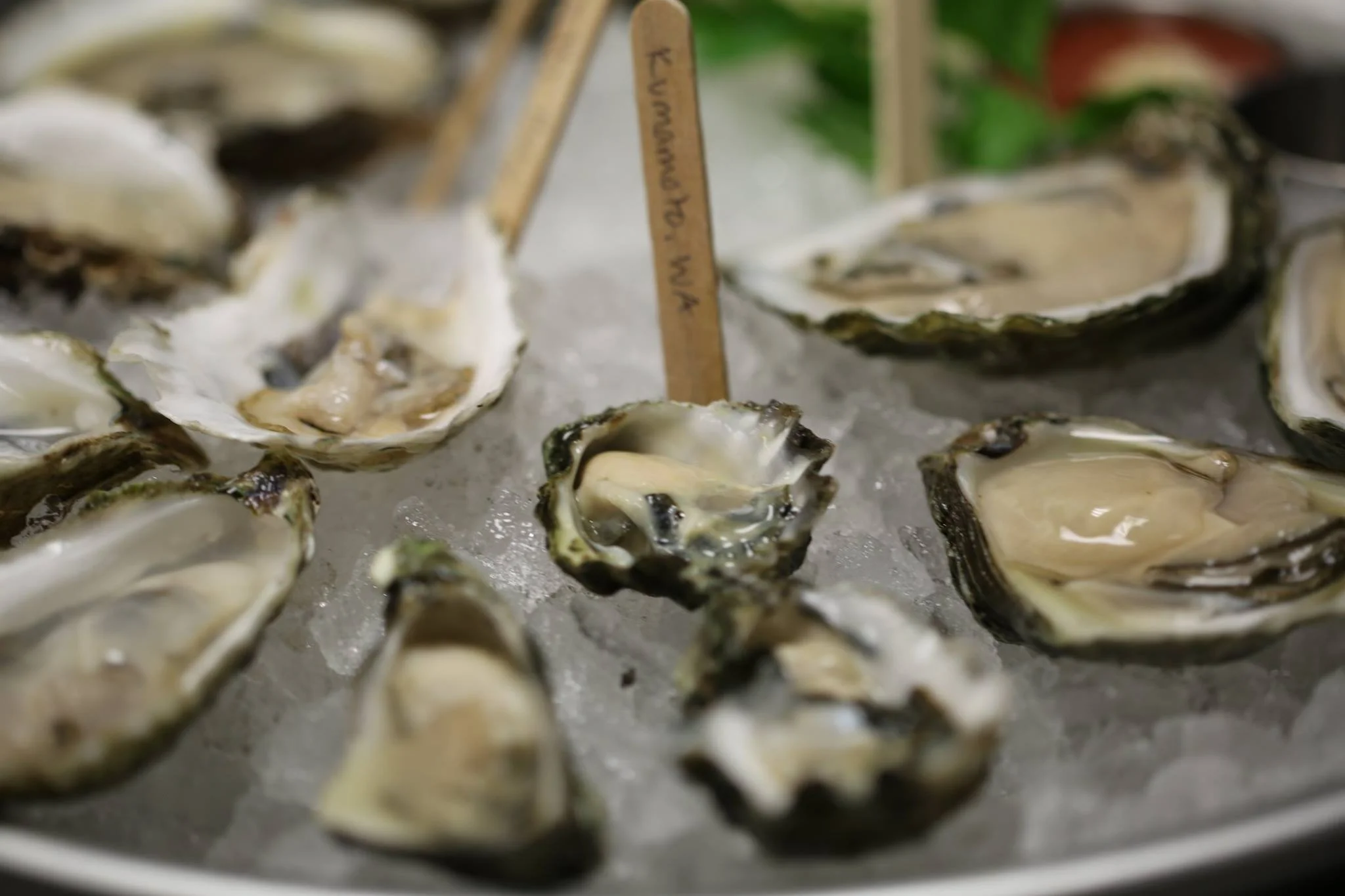 Oysters offer chance at a second date!