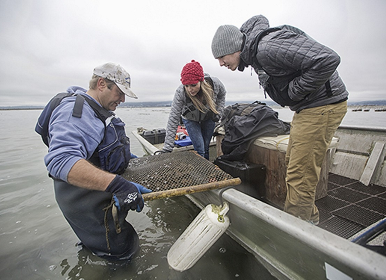 Sebastian Elrite will take you on a tour of Humboldt Bay and it's oysters.