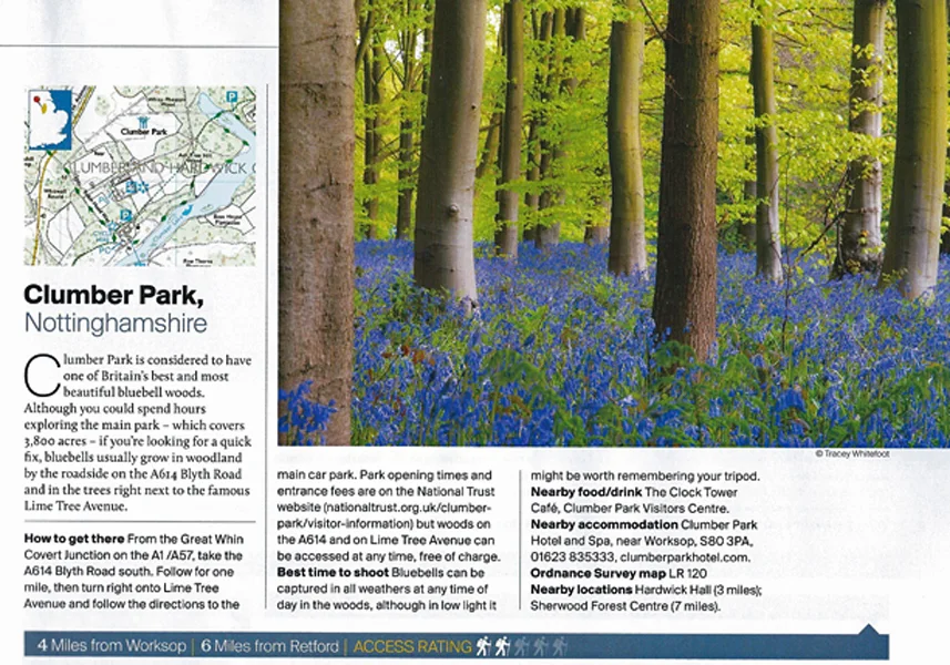 In Print 21.jpg