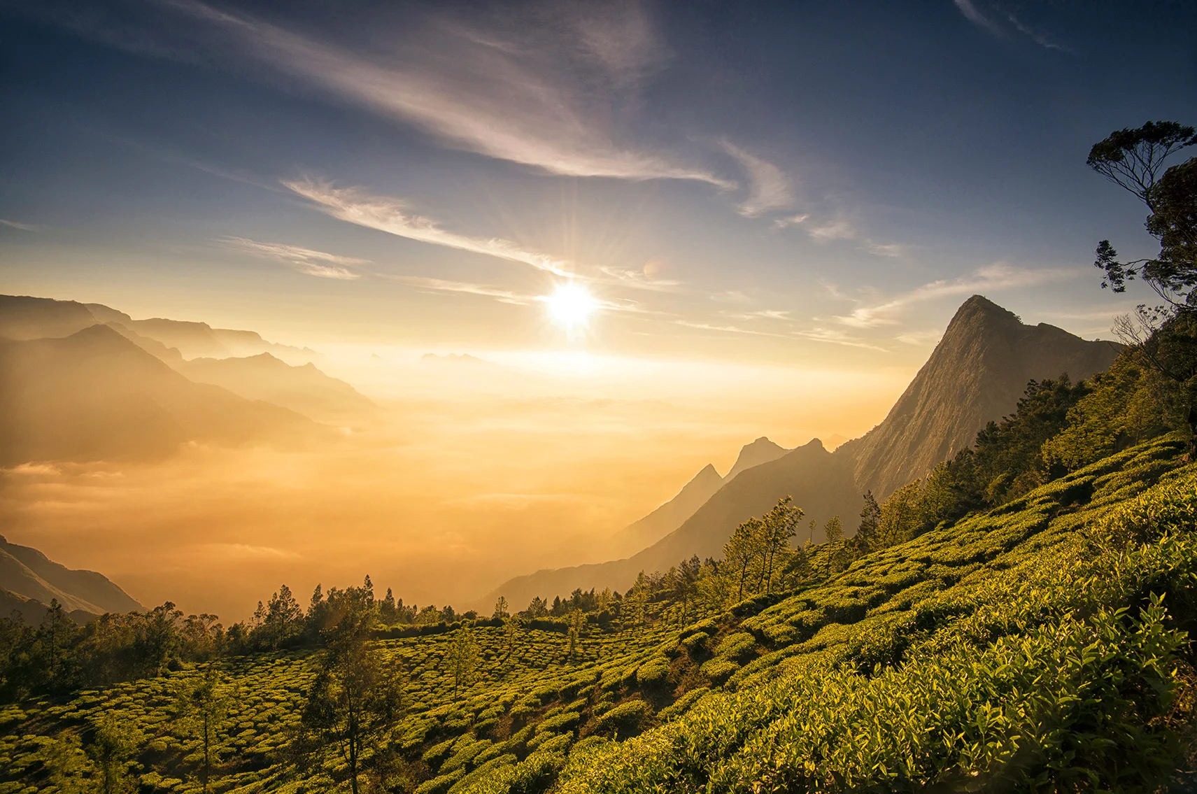 Great Outdoors 14.jpg