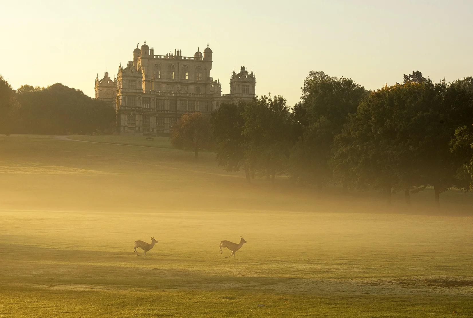 Nottinghamshire 6a.jpg
