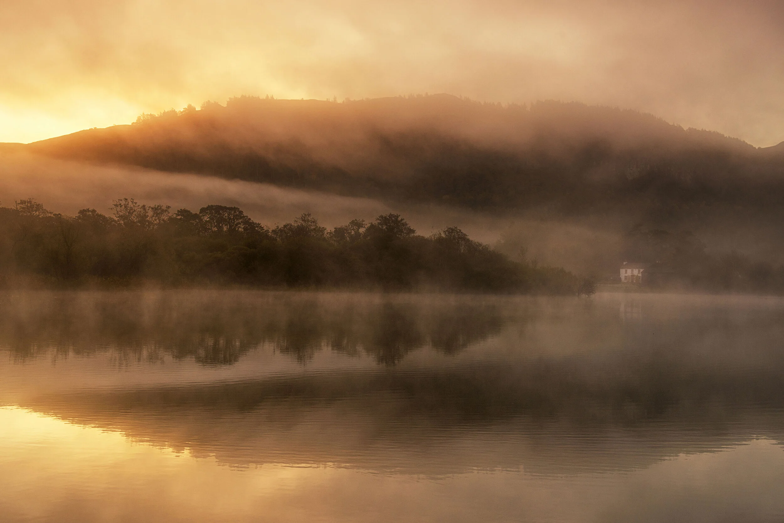 Golden Mist (LR).jpg