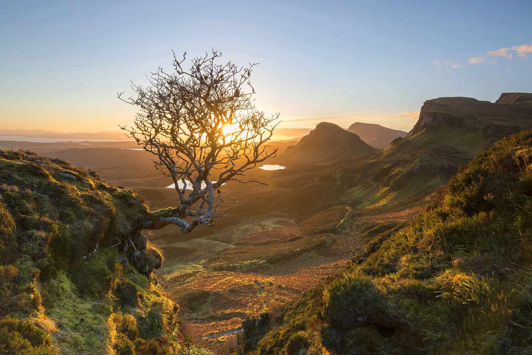 The Quiraing Tree II.jpg