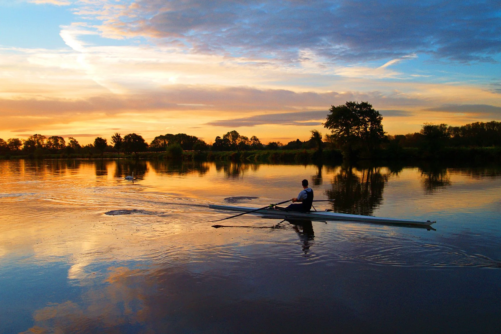 The Rower (Print)