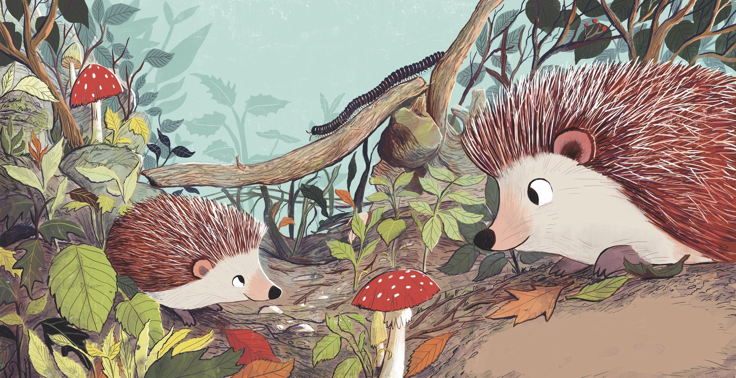 Hedge Hogs routing around the forest floor