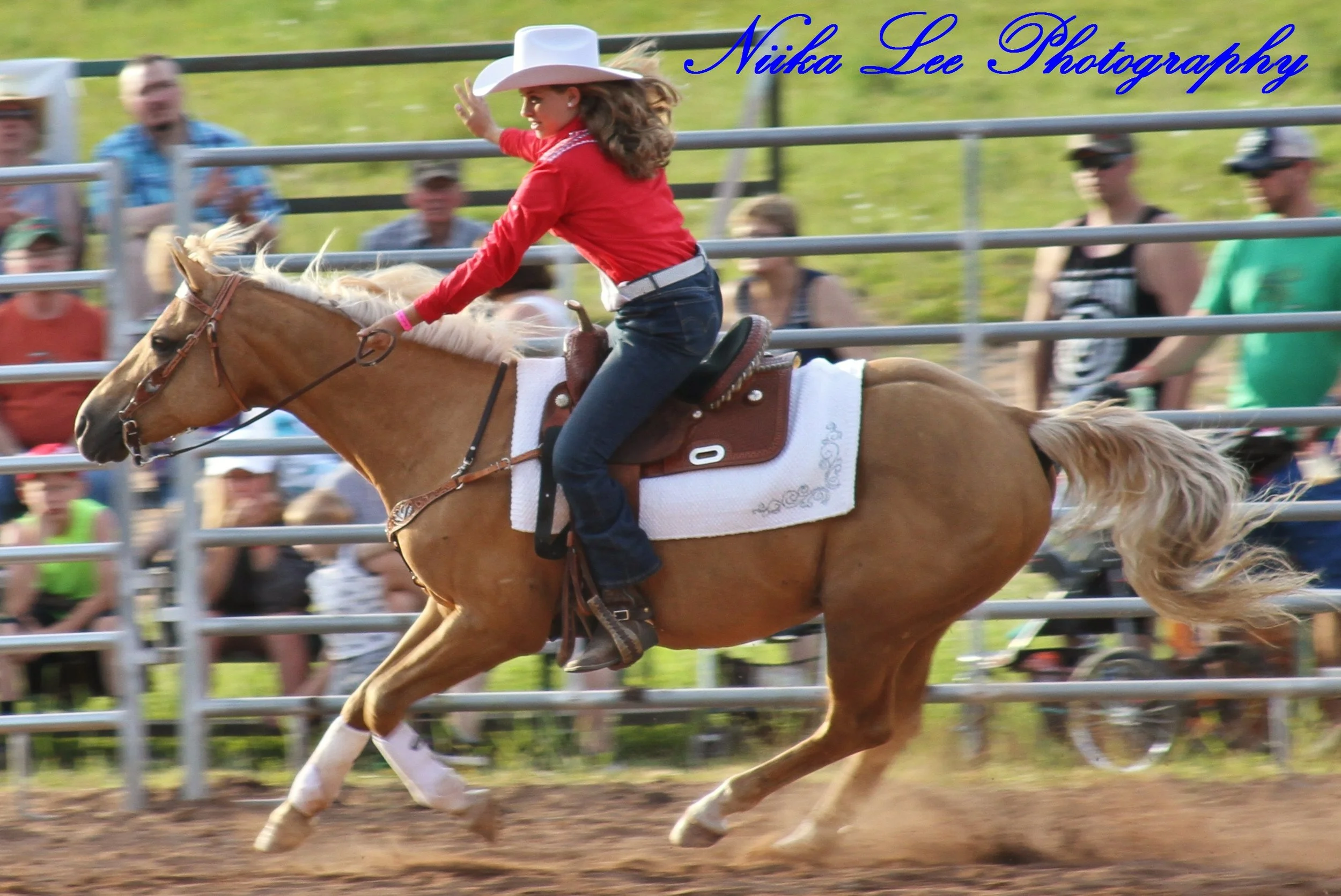 IMG_6307 - Copy.JPG