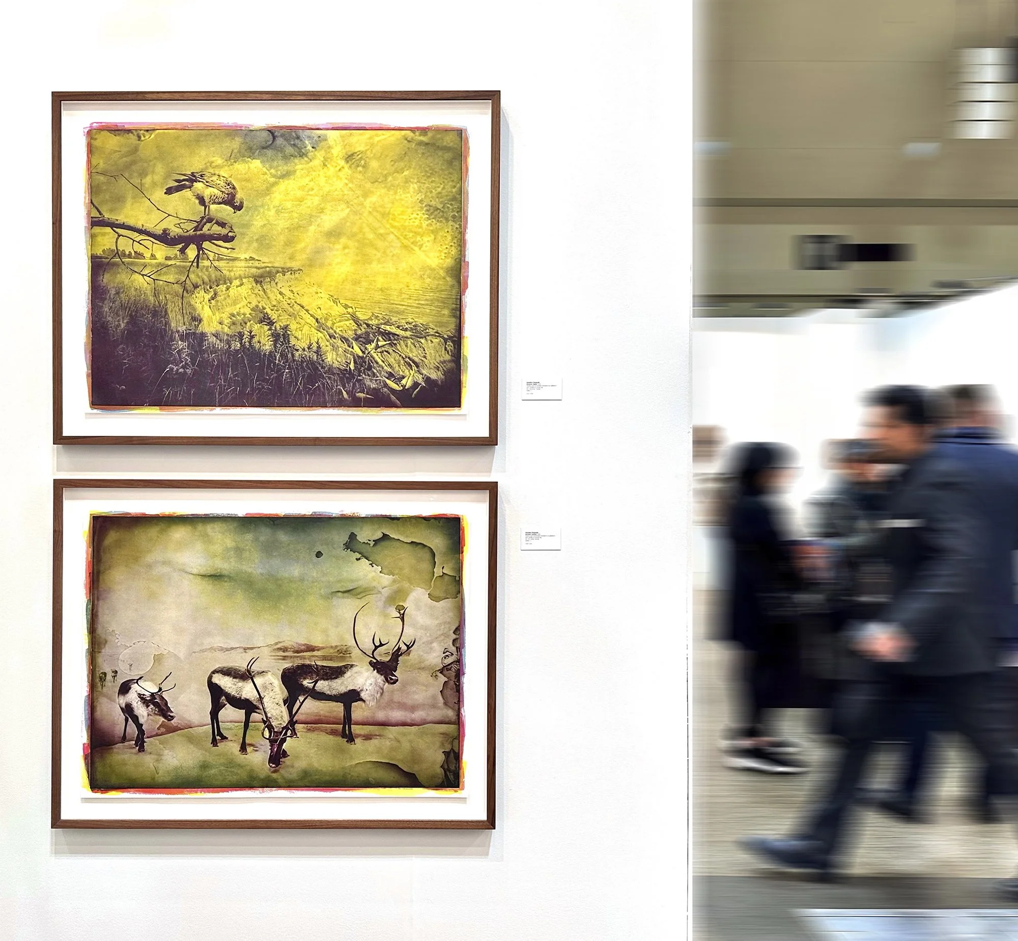 Installation_Art Toronto.jpg