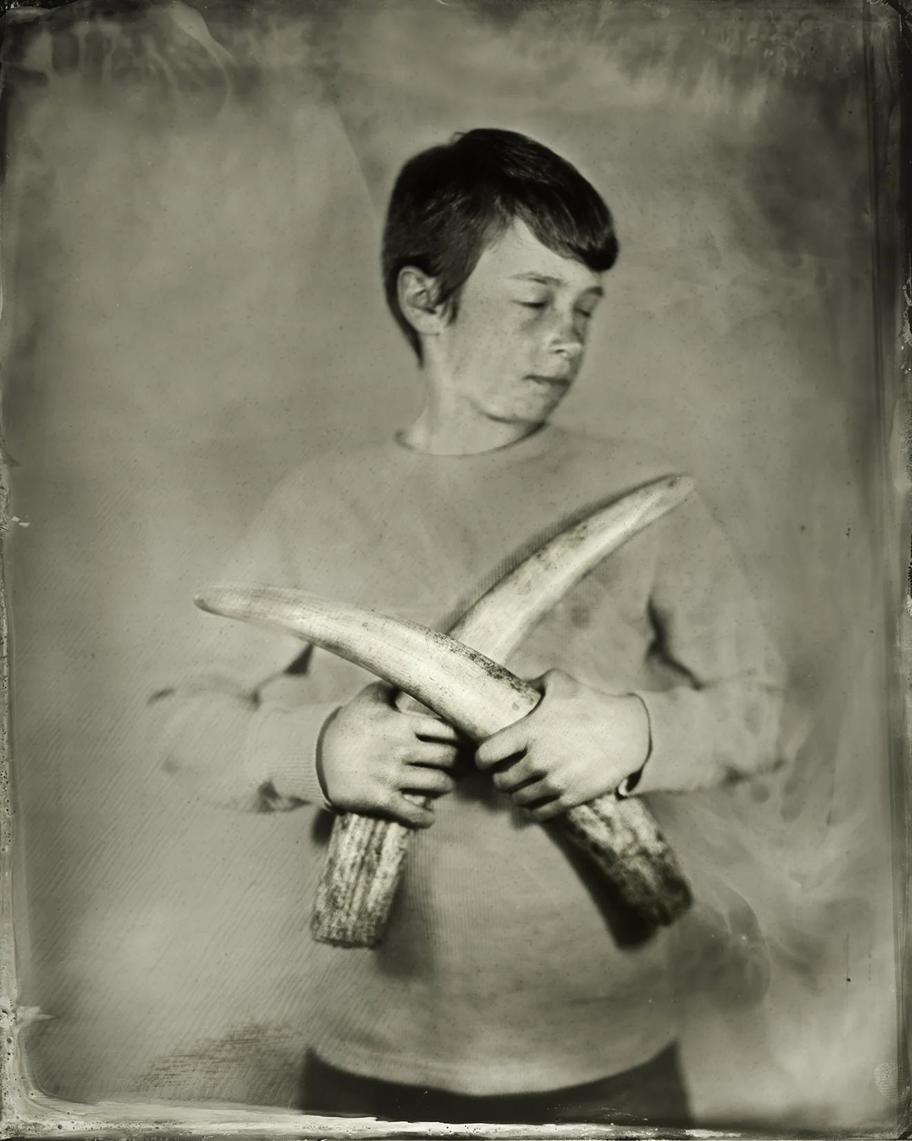 Odobenus rosmarus
