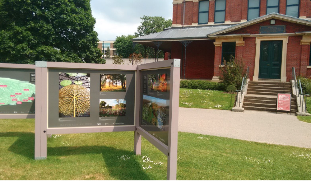 Outdoor Exhibit, Captured at Kew , Royal Botanic Gardens, Kew, UK (2016).