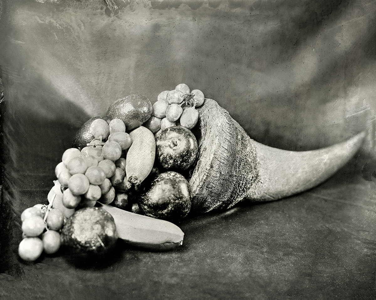  Rhinoceros Horn with Fruit, 2018  Platinum-Palladium Print 