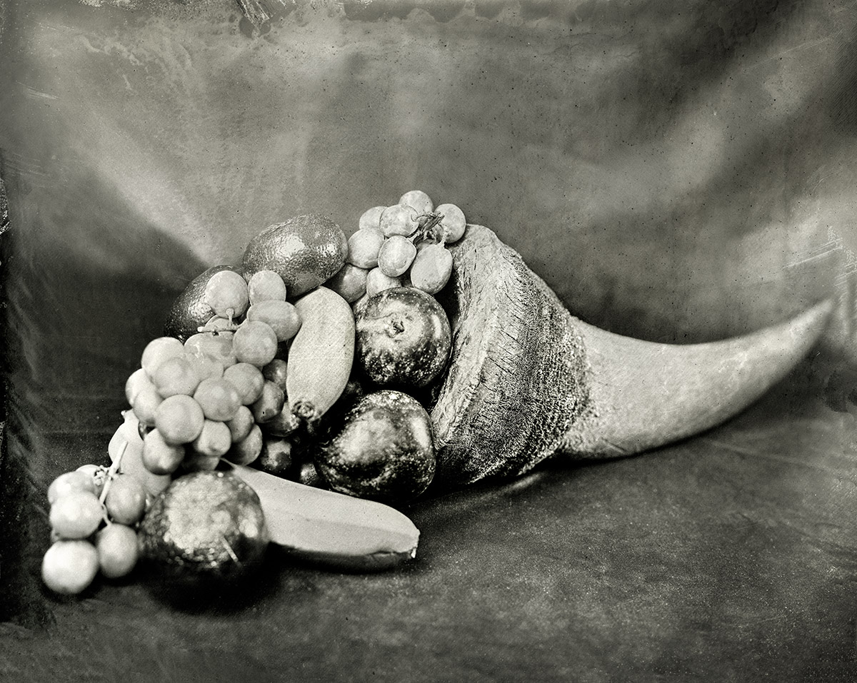 Rhinoceros Horn with Fruit, 2018