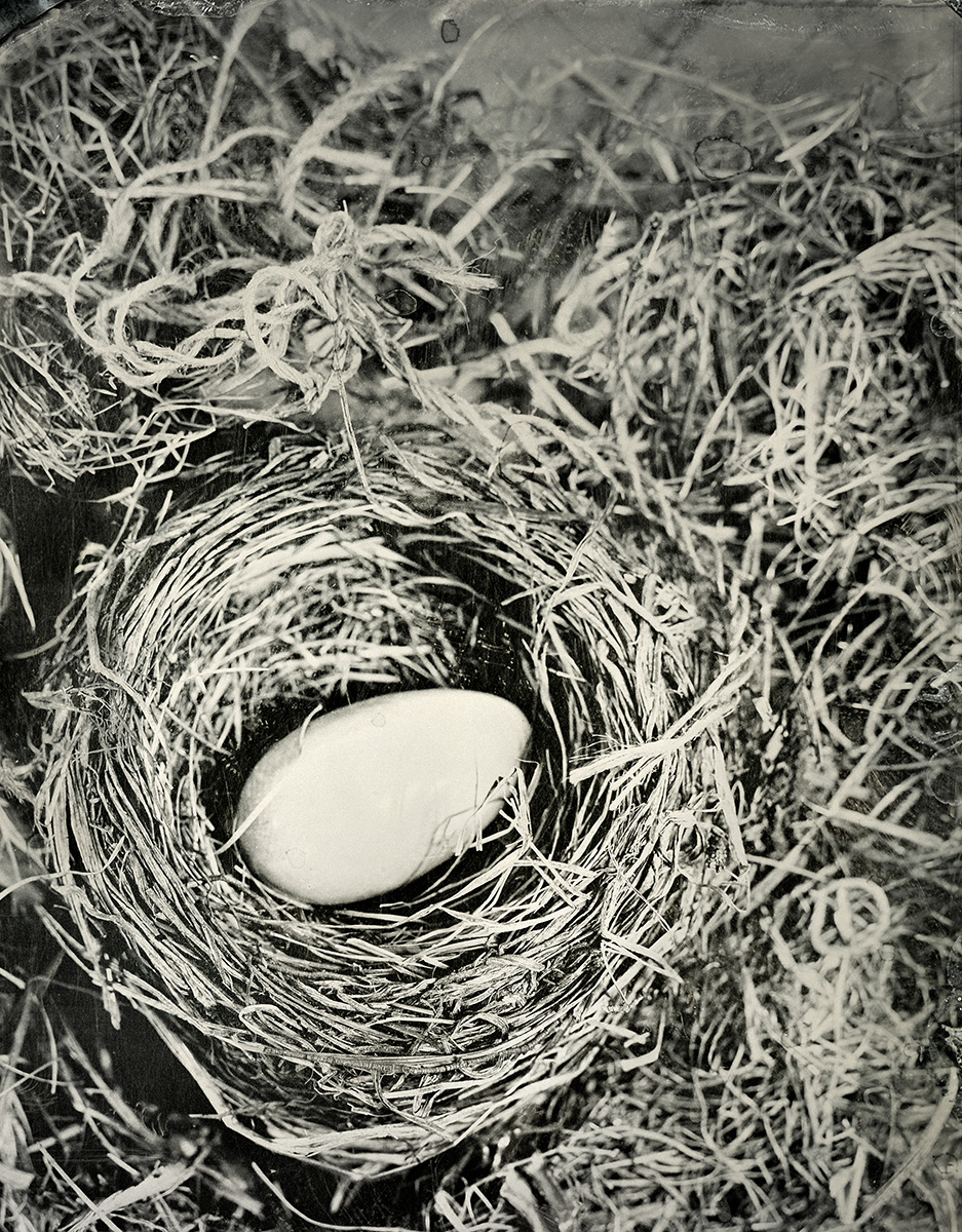 Ivory Egg in Nest, 2018 