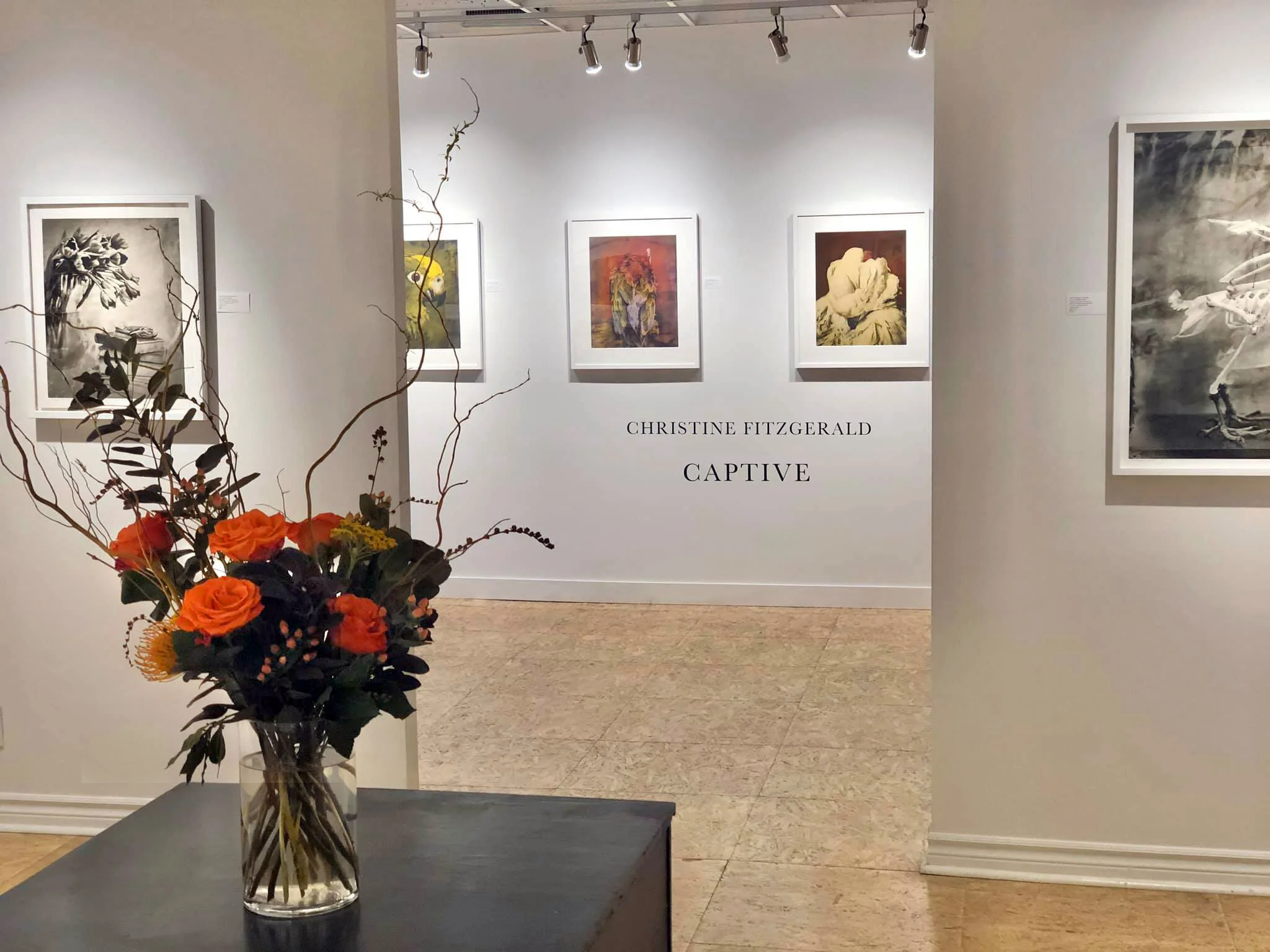 CAPTIVE. Studio Sixty Six Contemporary Gallery, Ottawa. October 17 to November 24, 2019