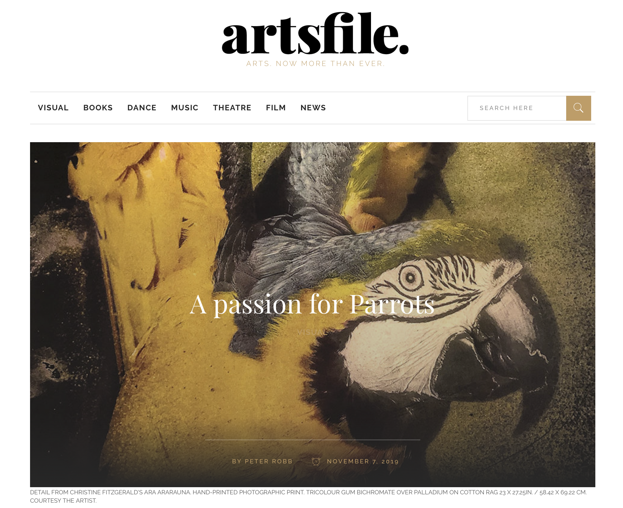 A Passion for Parrots by Peter Robb. Artsfile. November 7, 2019.