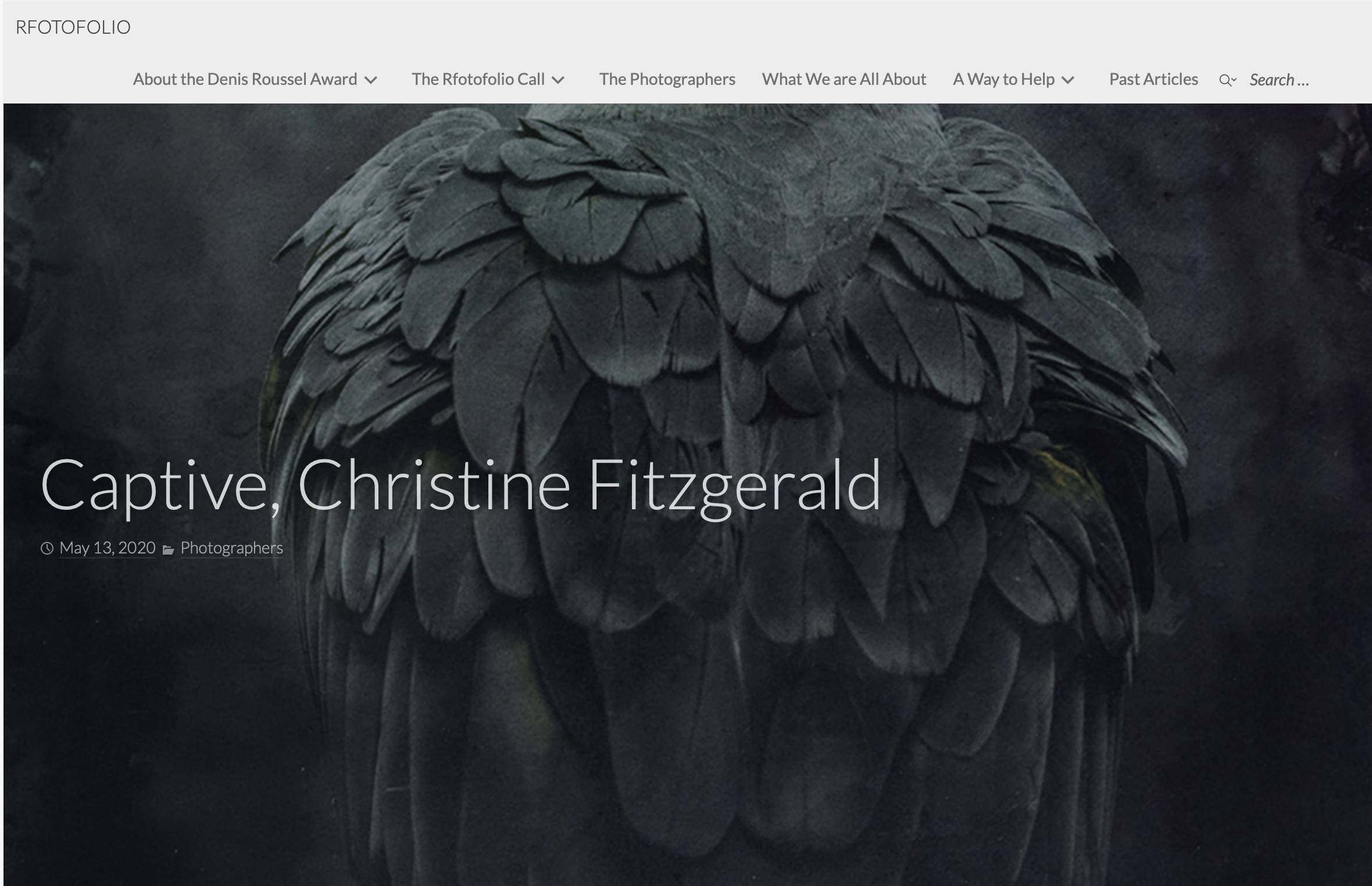 Captive Featured in RFOTOFOLIO, May 13, 2020.