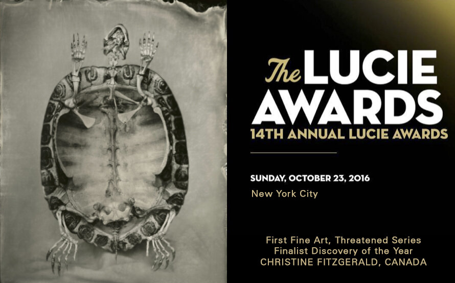 The Lucie Award, NYC, October 23, 2016