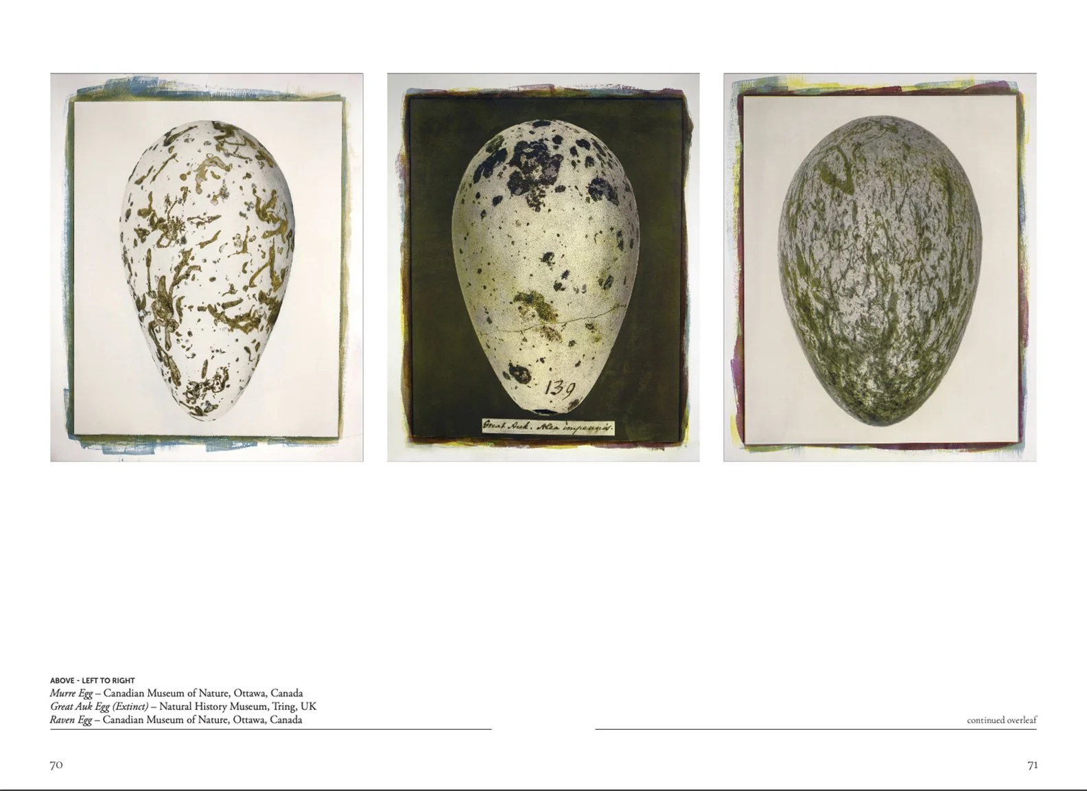 Pages 70:71.jpg