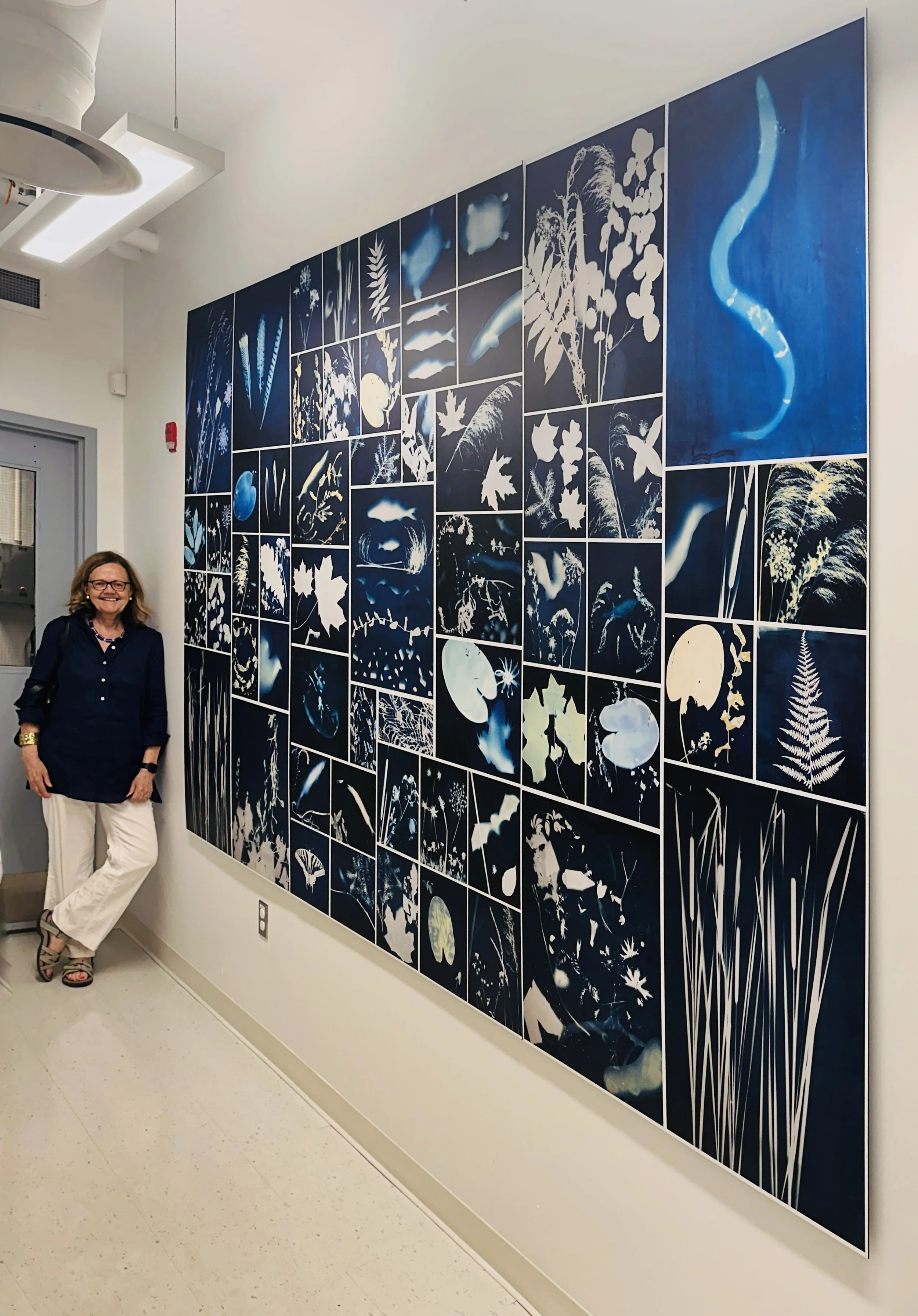  New DNA Lab, River Institute of Environmental Sciences, Cornwall, CANADA 