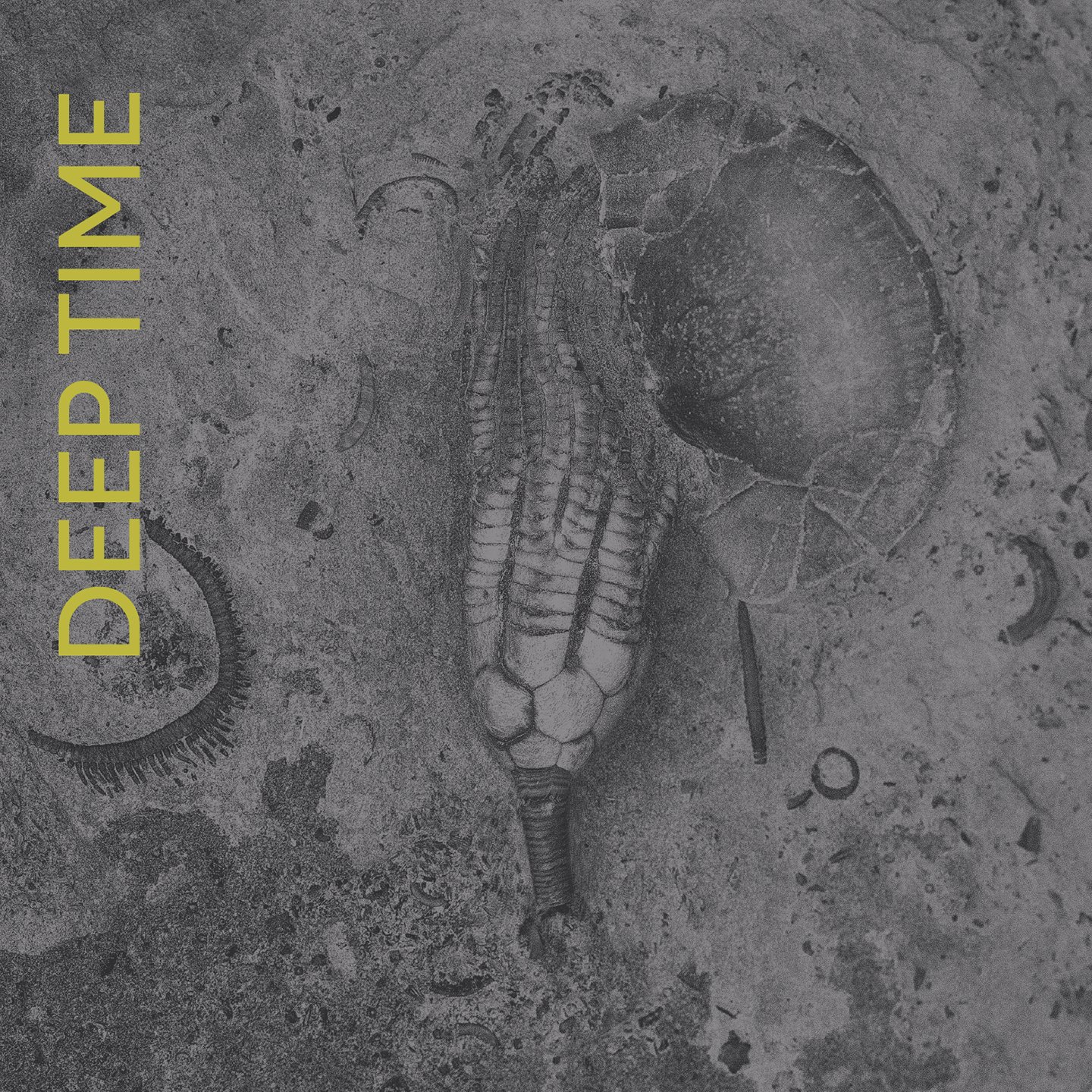   Deep Time  catalogue. National Gallery of Canada Library &amp; Archives, Call No: TR140 F5437 A4 2023. 