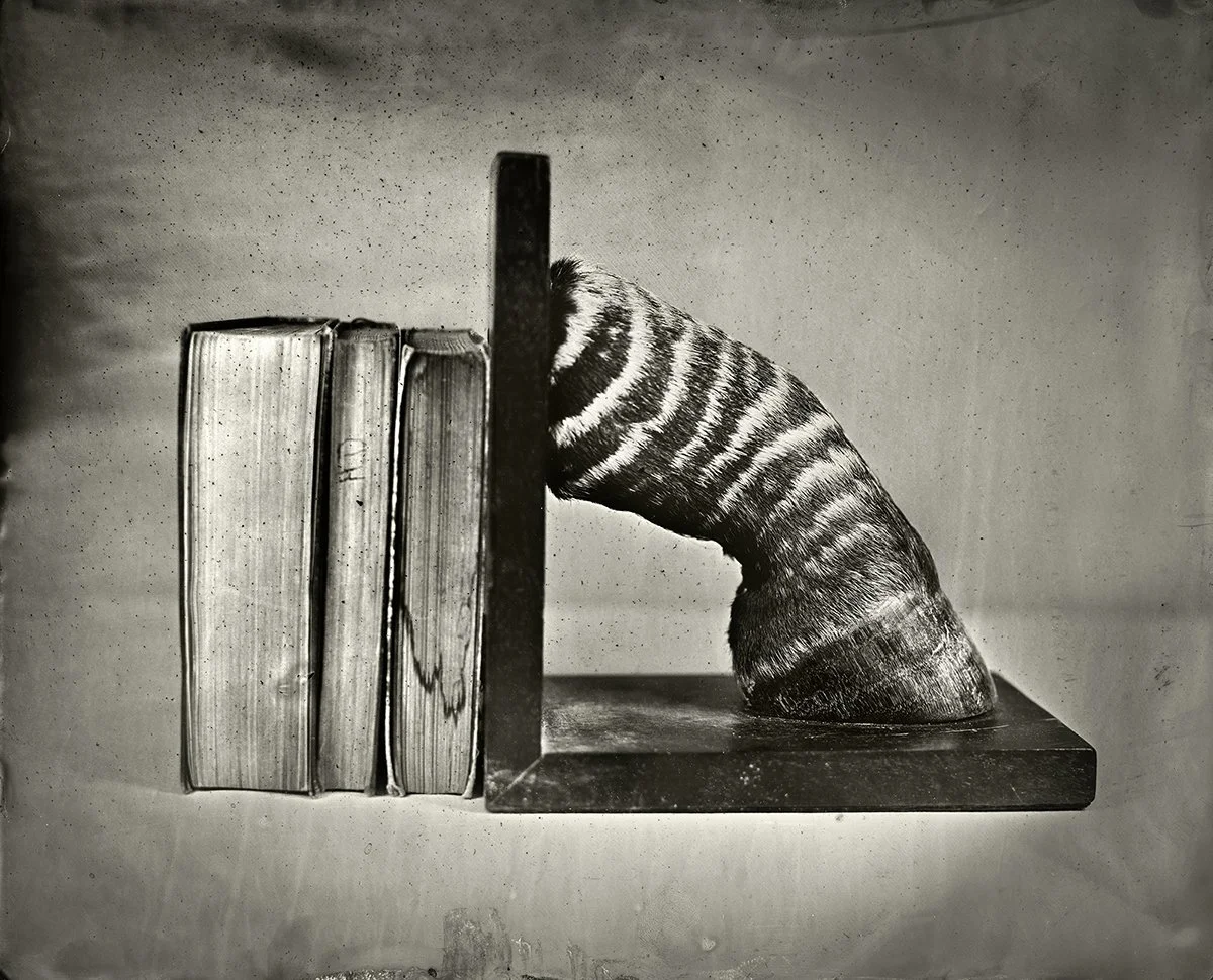 04_Zebra Bookend_Wet Collodion Plate_2018.jpg