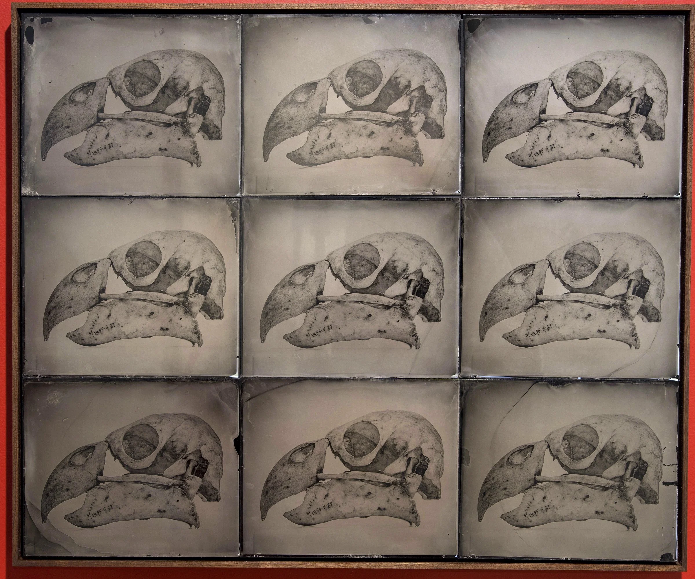 29_Kōkapō collage of plates.jpg