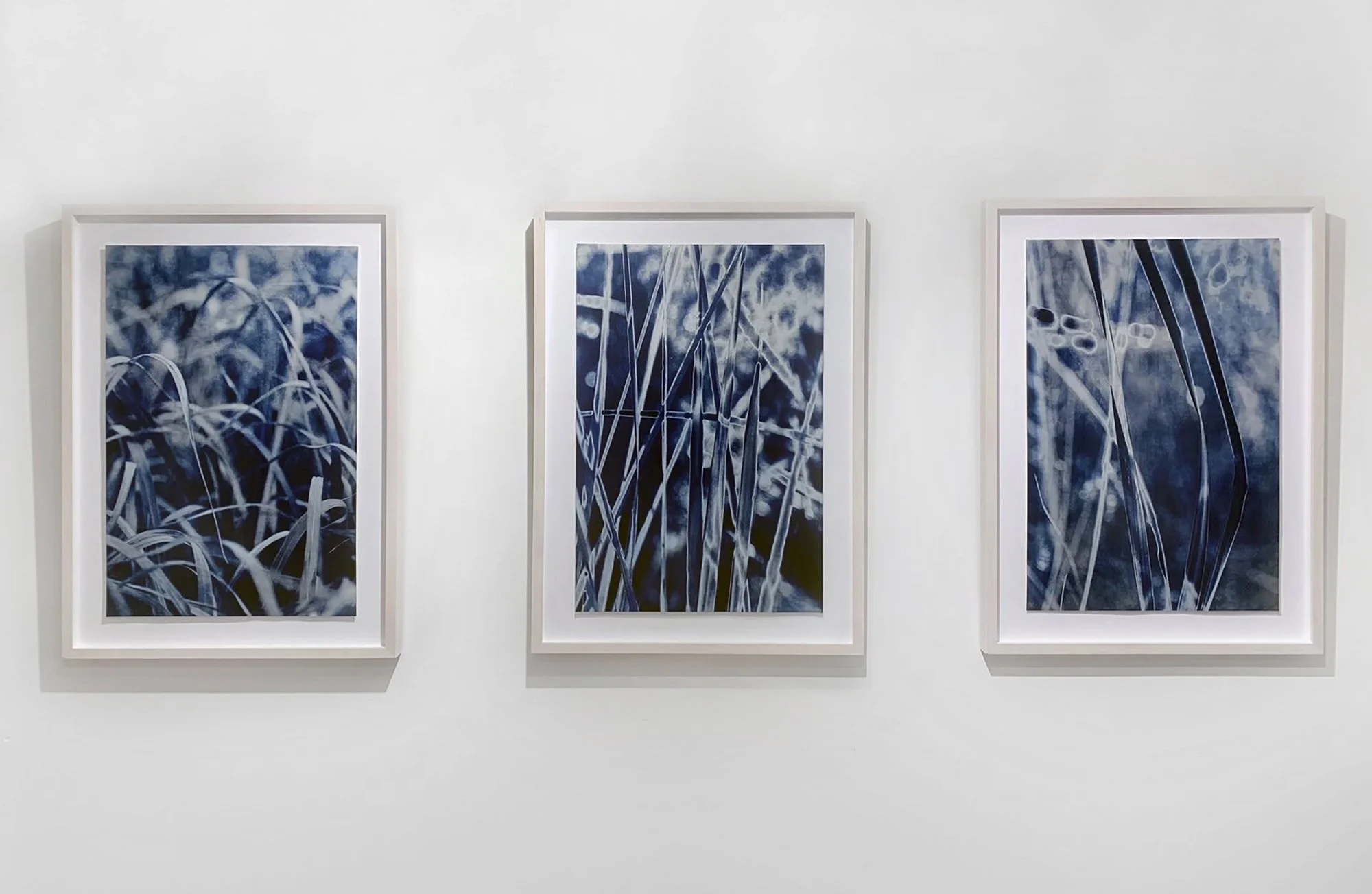 Grasses triptych_low res.jpg