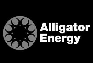alligator-energy.png