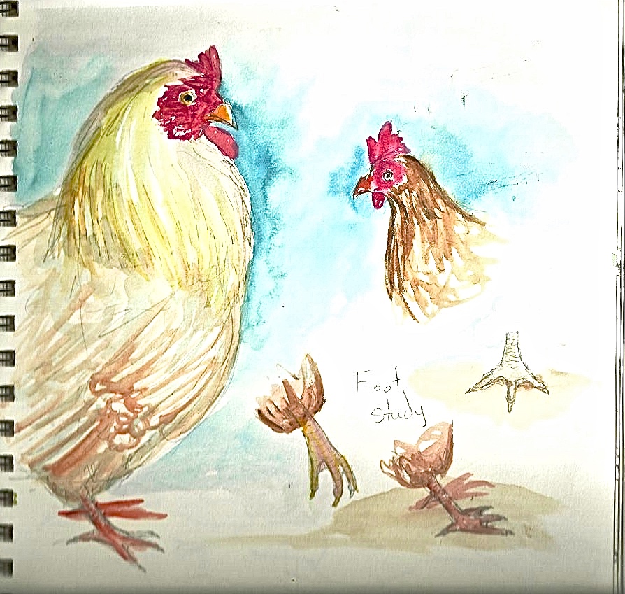 Chicken2.jpeg