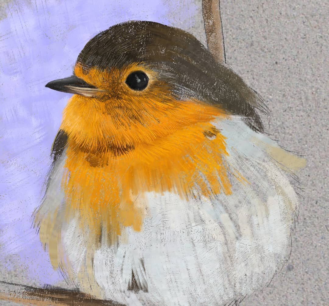 Took a break from portraits today and started this little robin study.
* 
*
*
*
*
#paintingstudy #robin #bird #art #painting #digitalart #digitalpainting #wipart #animalart #birdart #illustration #illustrator #markmaking #cutebird #wacomtablet #photo