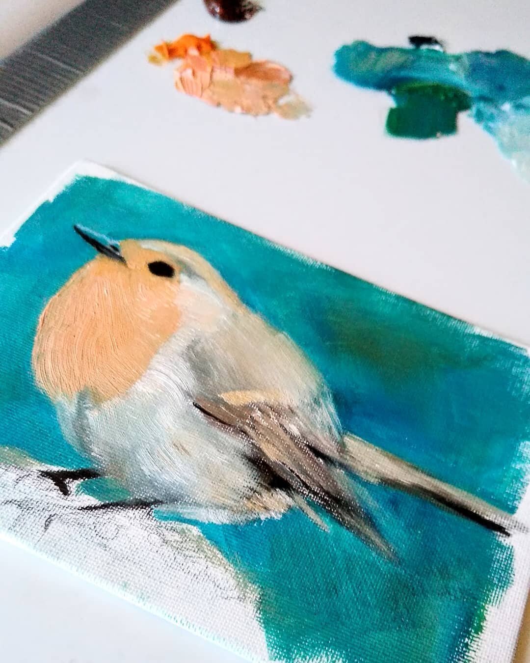 Practicing some oil painting with this cute little redbreast robin study. 
.
..
..
..
.
#paintingstudy #robin #bird #art #painting #oilpainting #oilpaint #wipart #animalart #birdart #illustration #illustrator #markmaking #cutebird #art #oil #allaprim