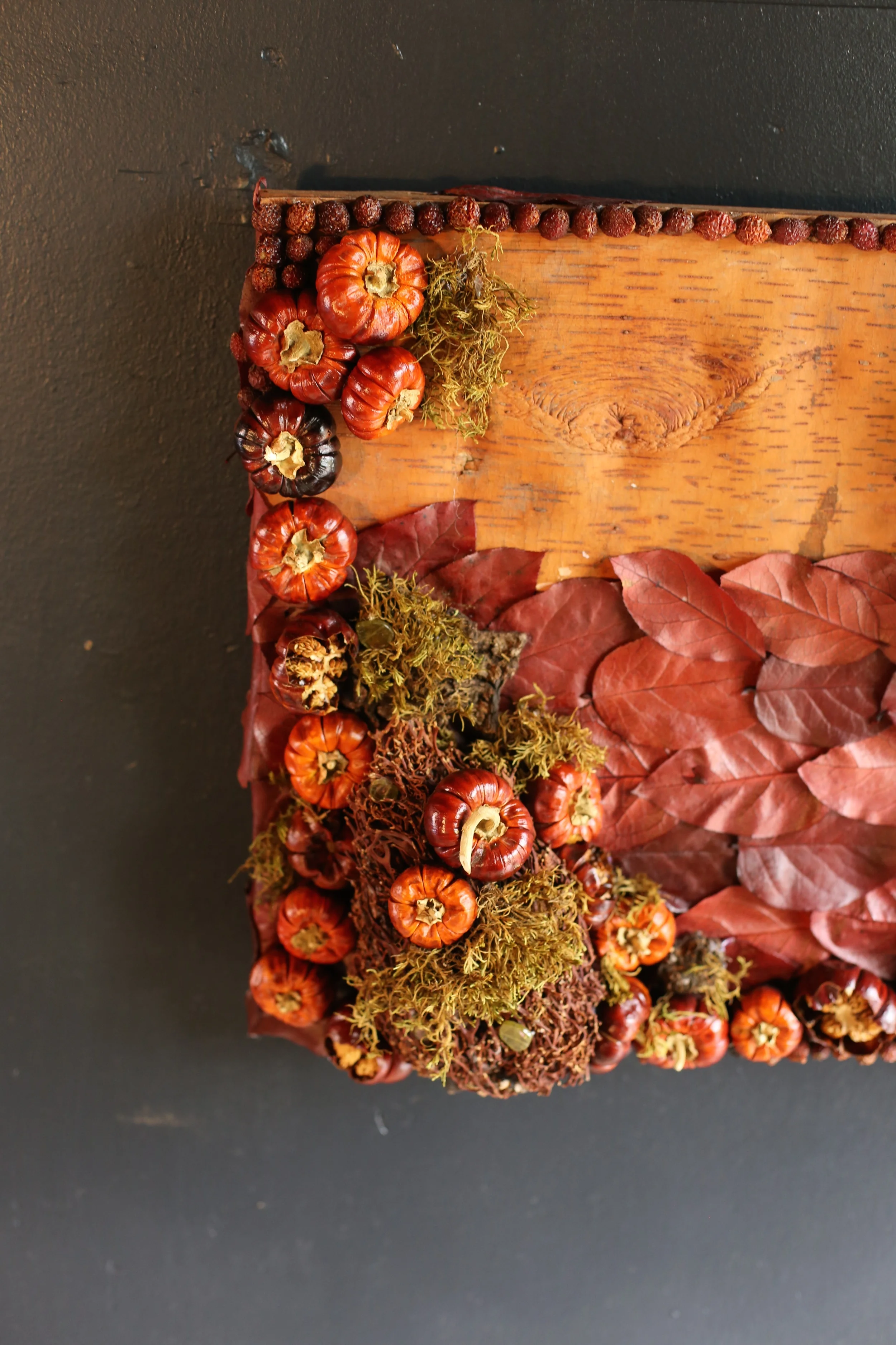pumpkinos corner w:seaweed.jpg