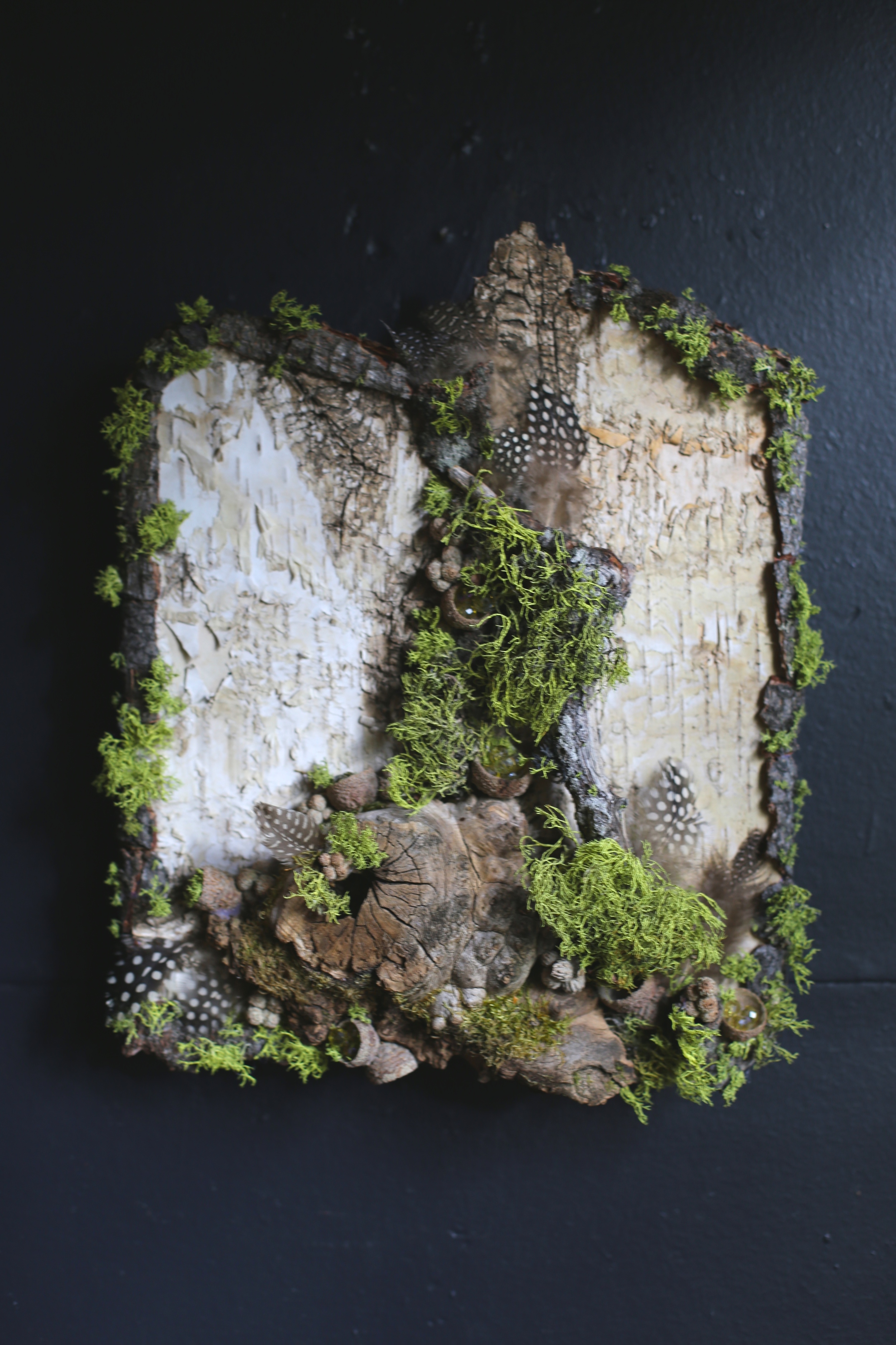 burled driftwood:best.jpg