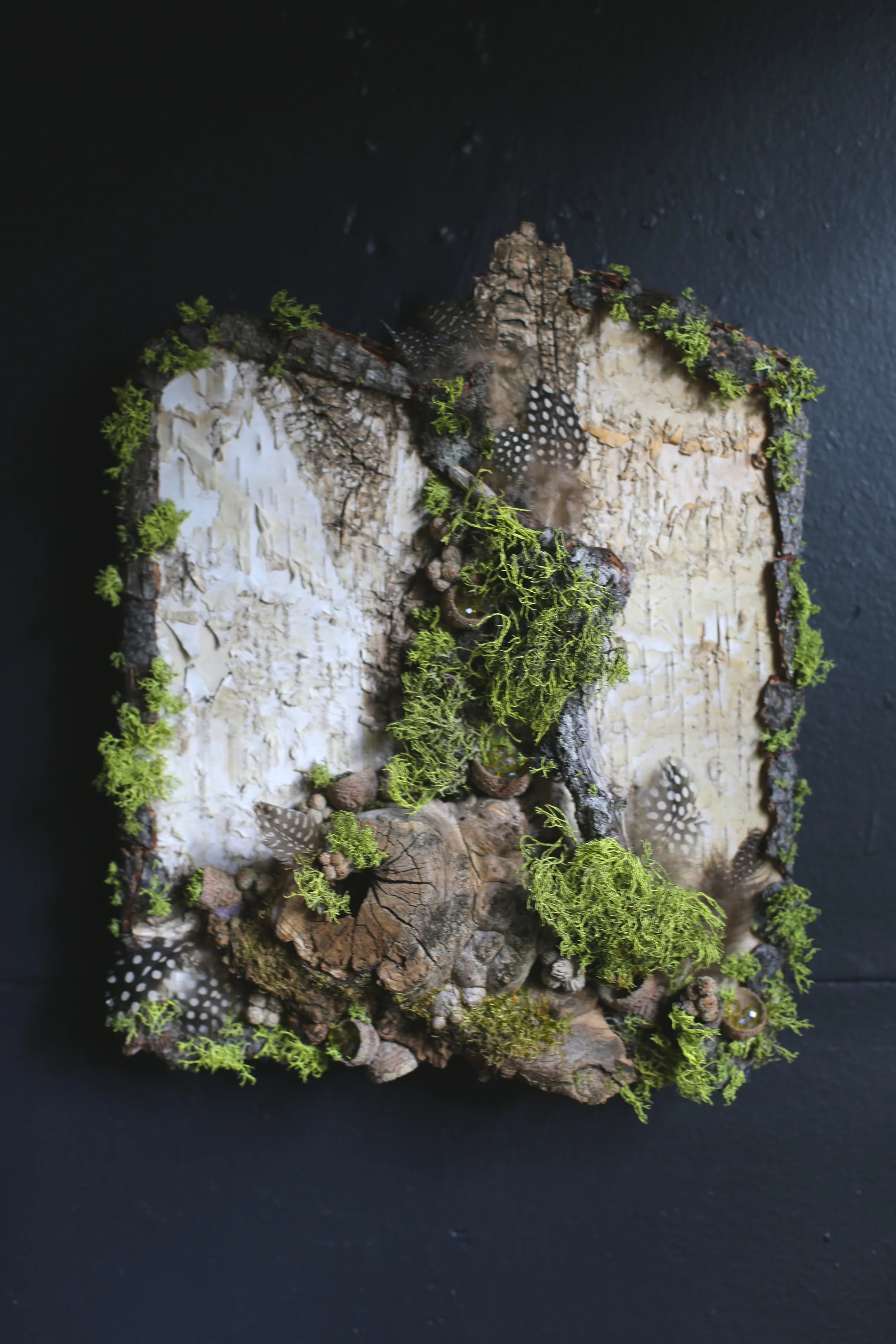 burled driftwood:best.jpg