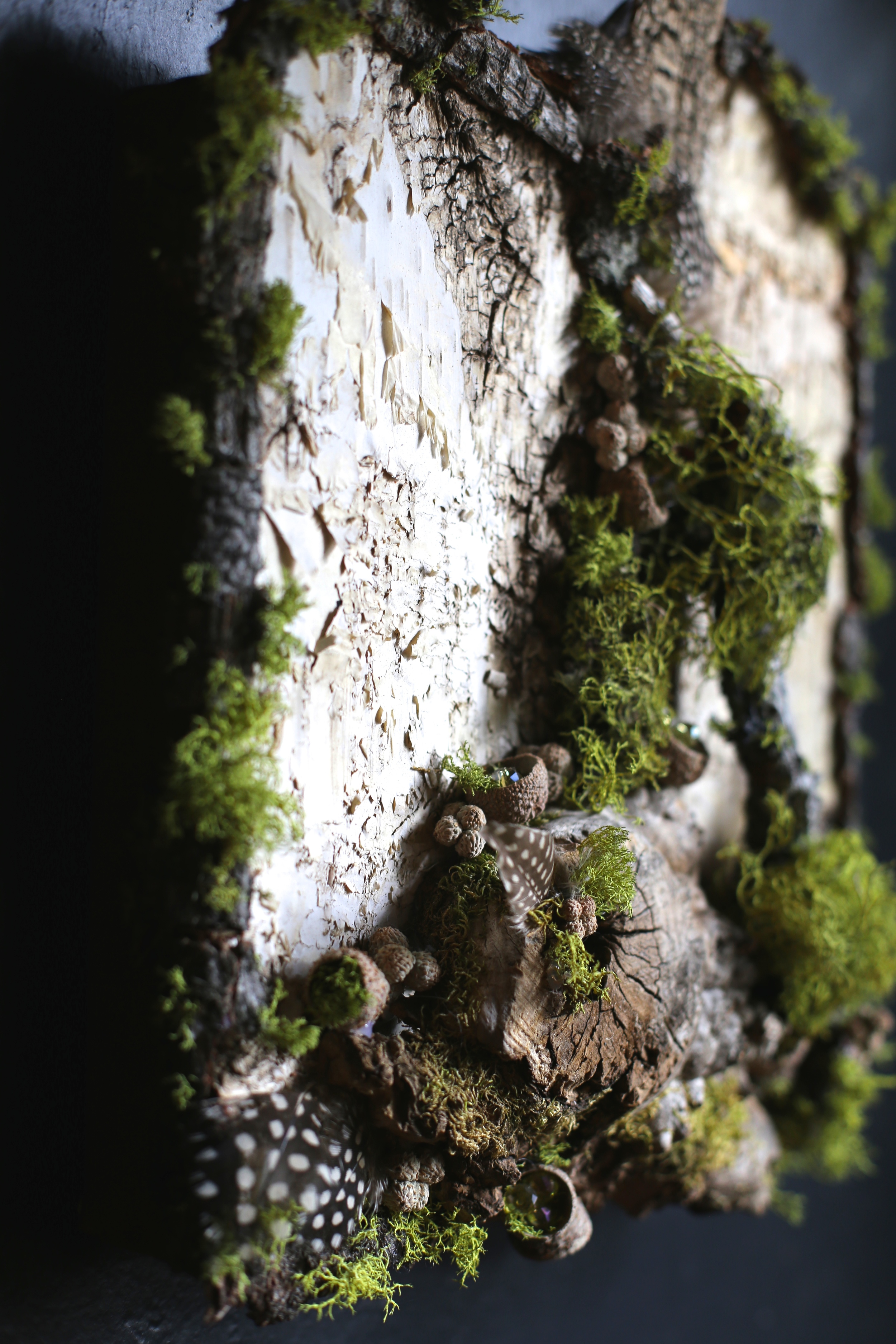 burled driftwood:side view.jpg